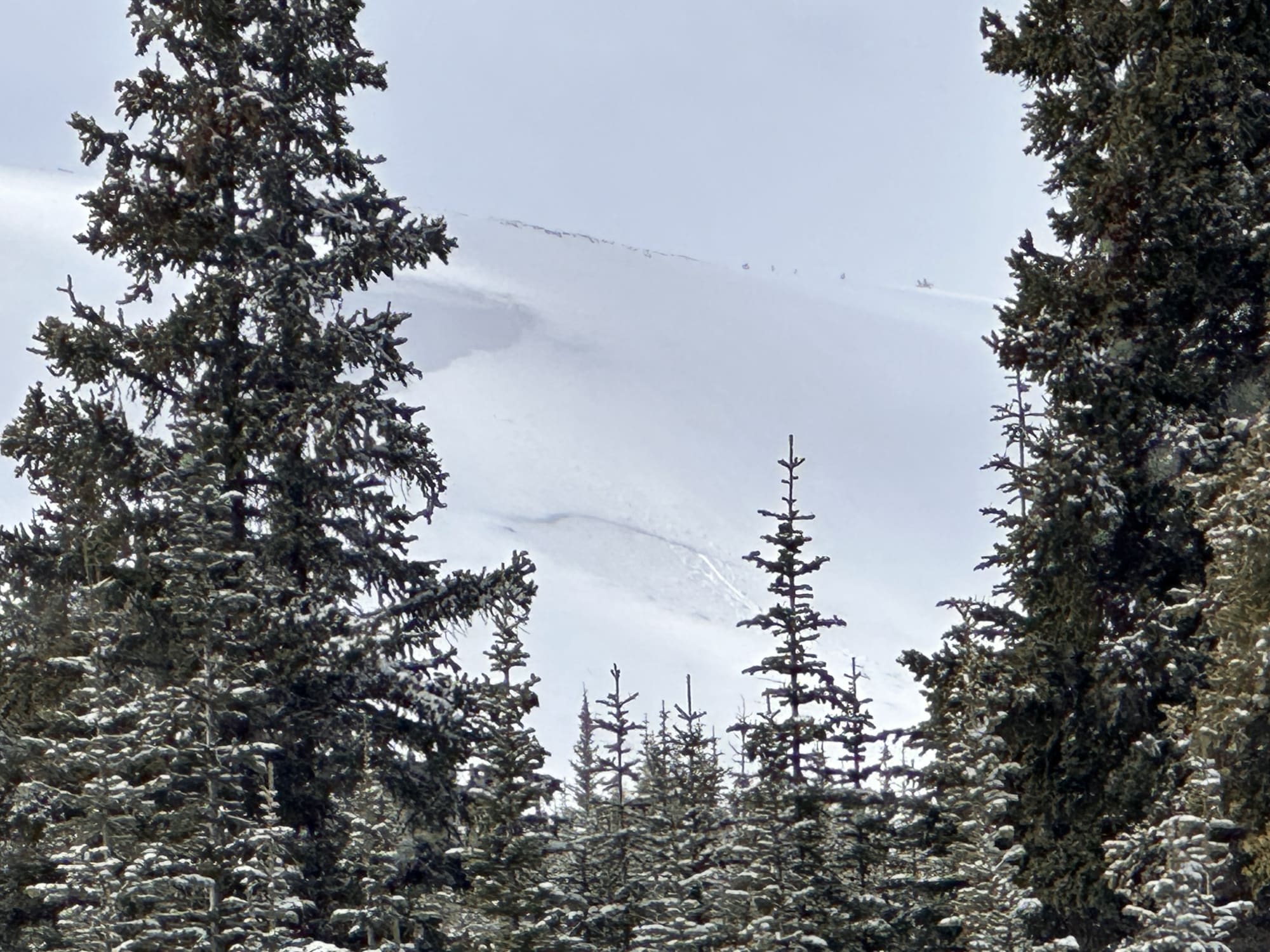 Observation photo 3