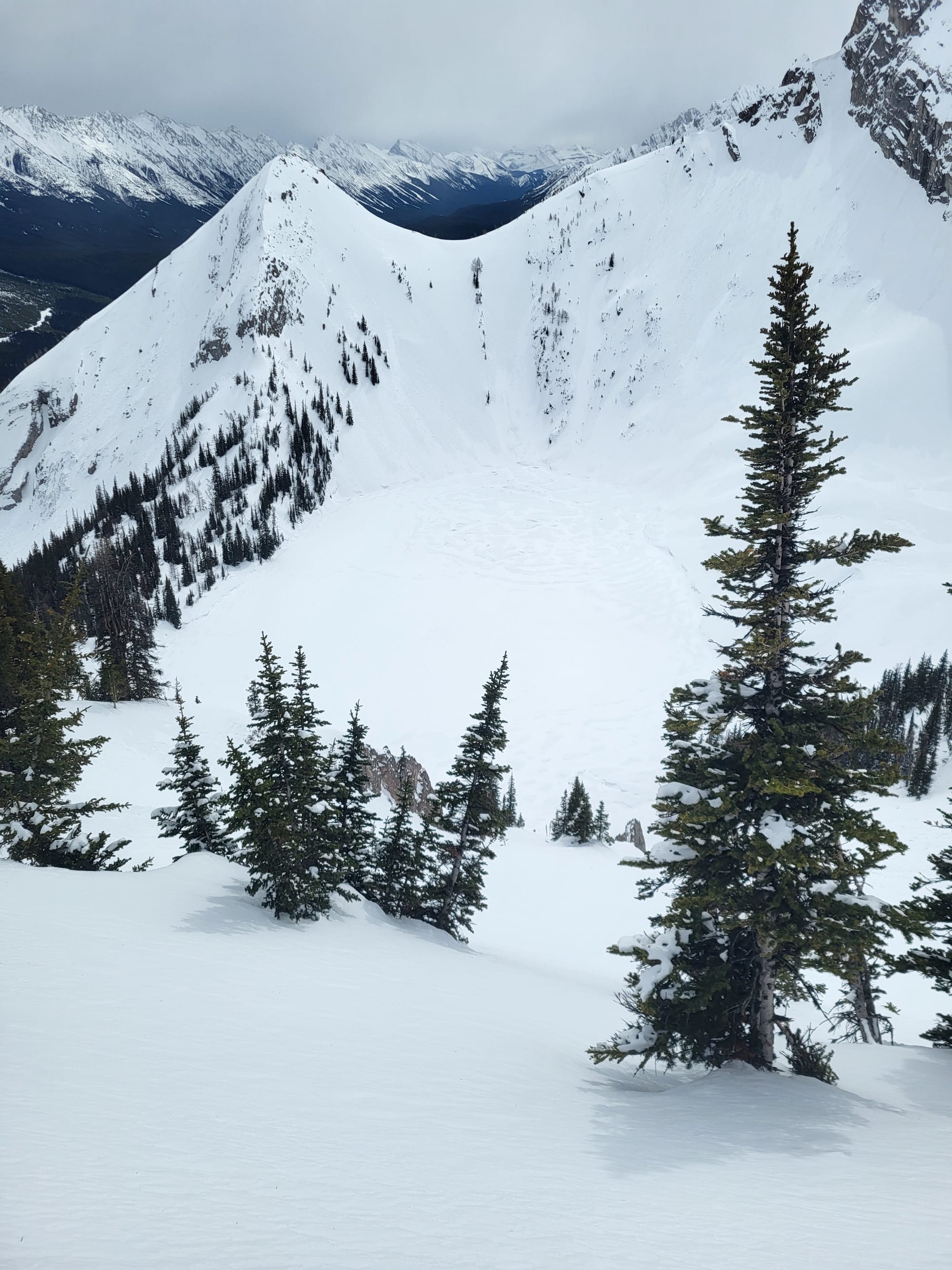 Observation photo
