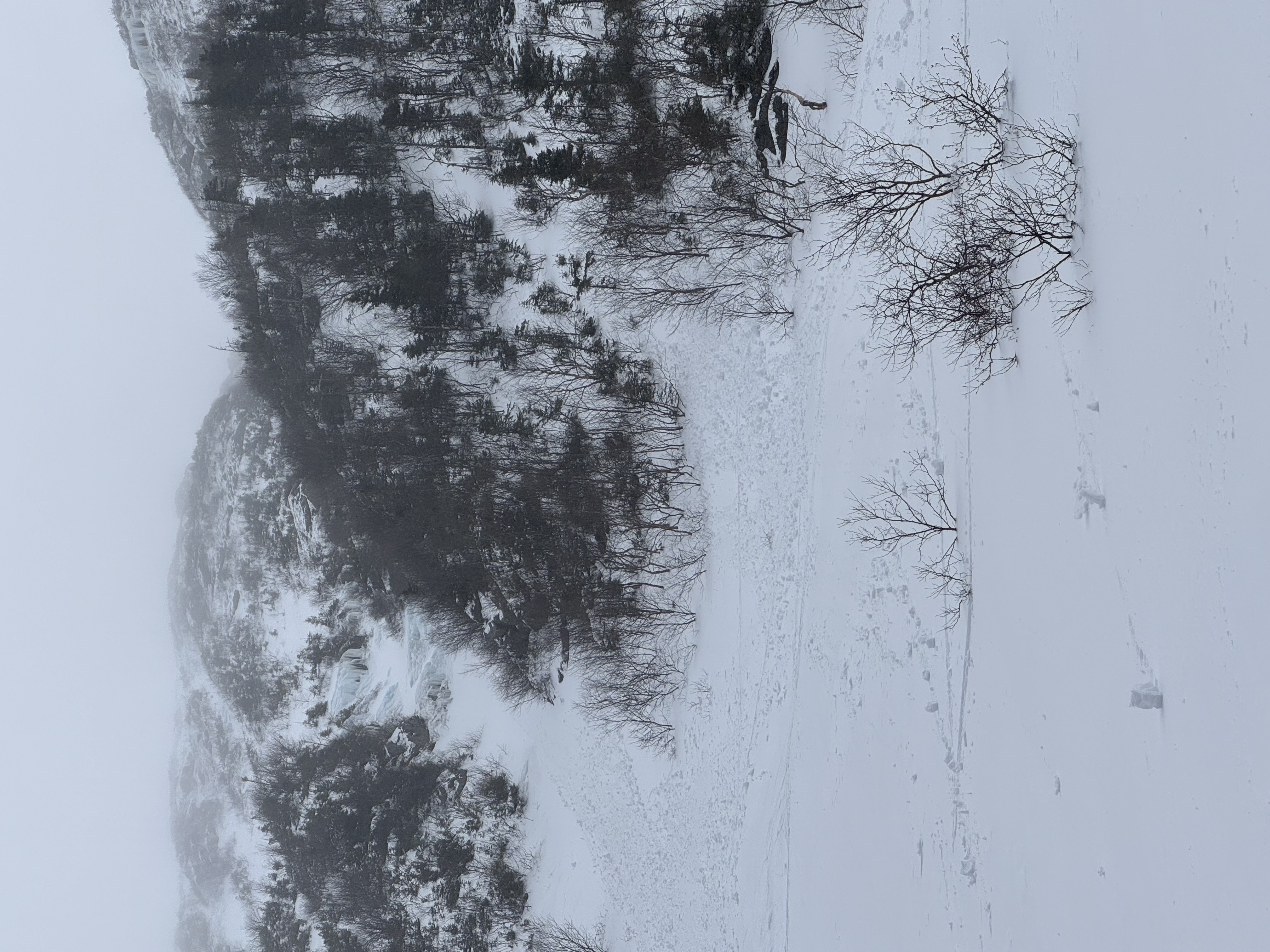 Observation photo