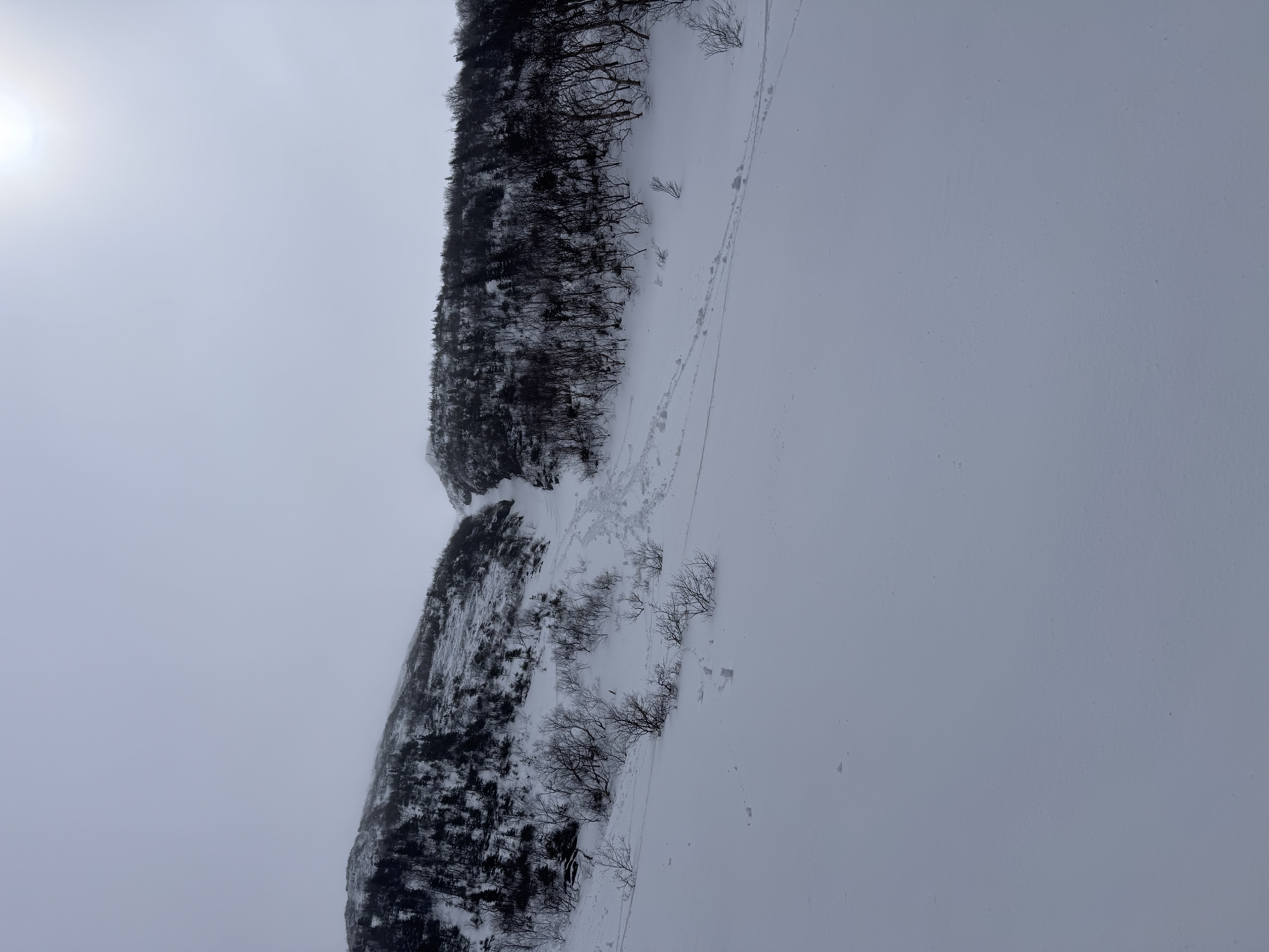 Observation photo