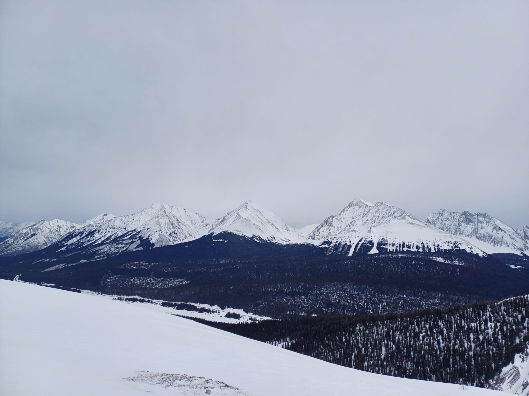 Observation photo