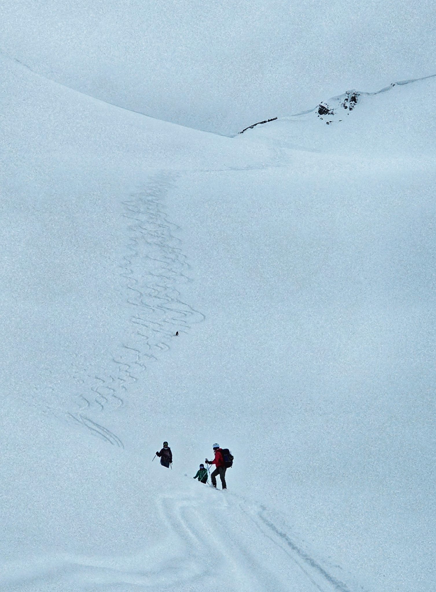 Observation photo