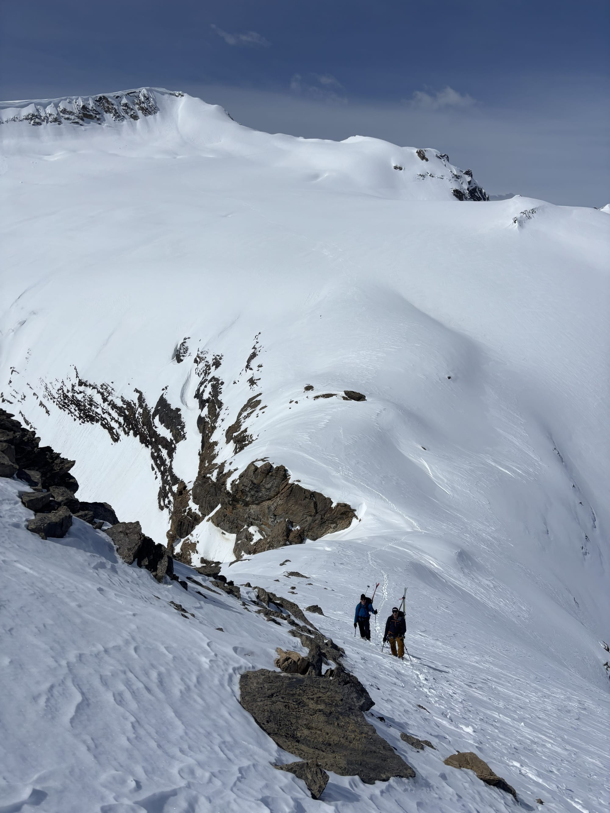 Observation photo
