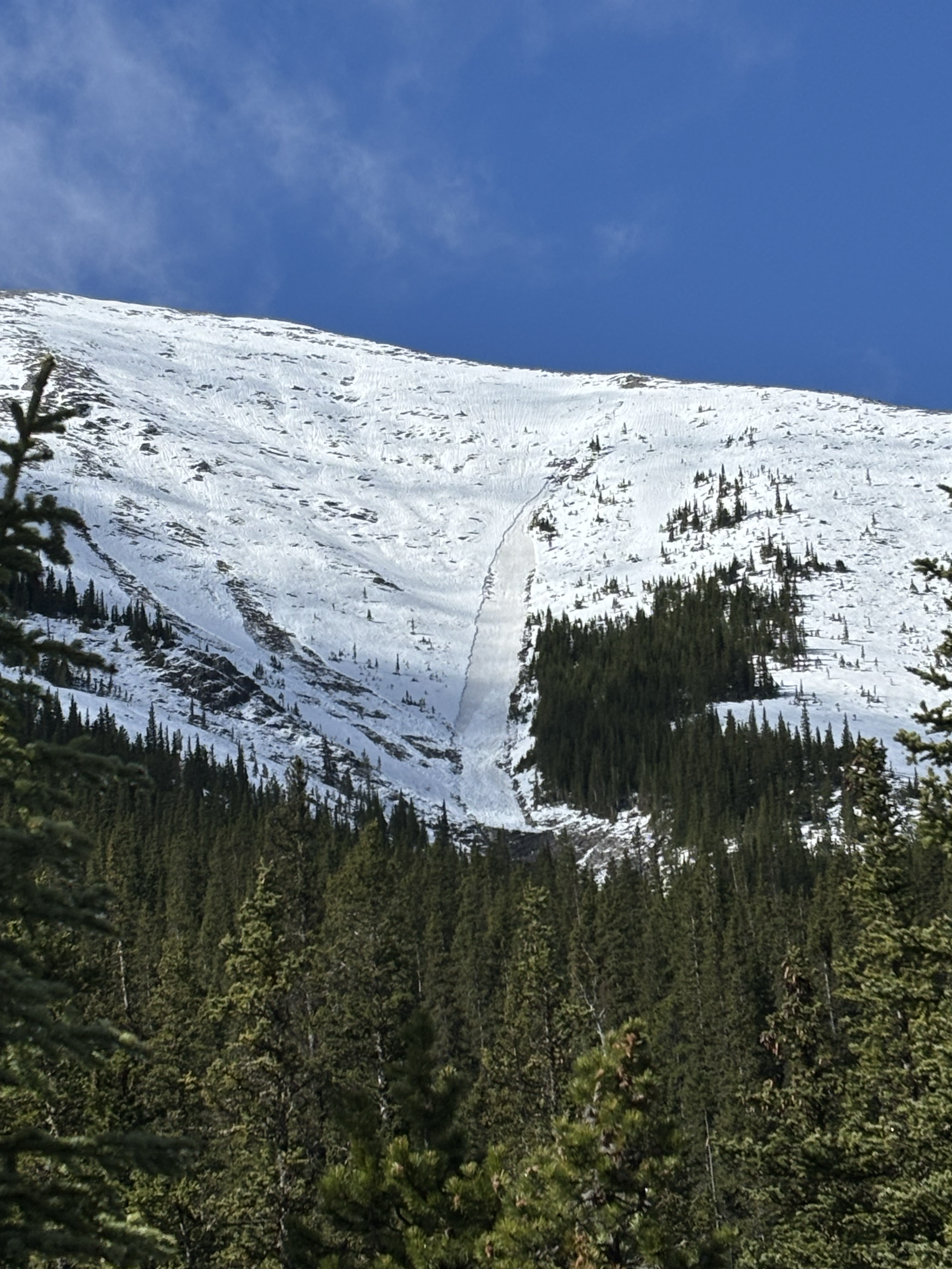 Observation photo