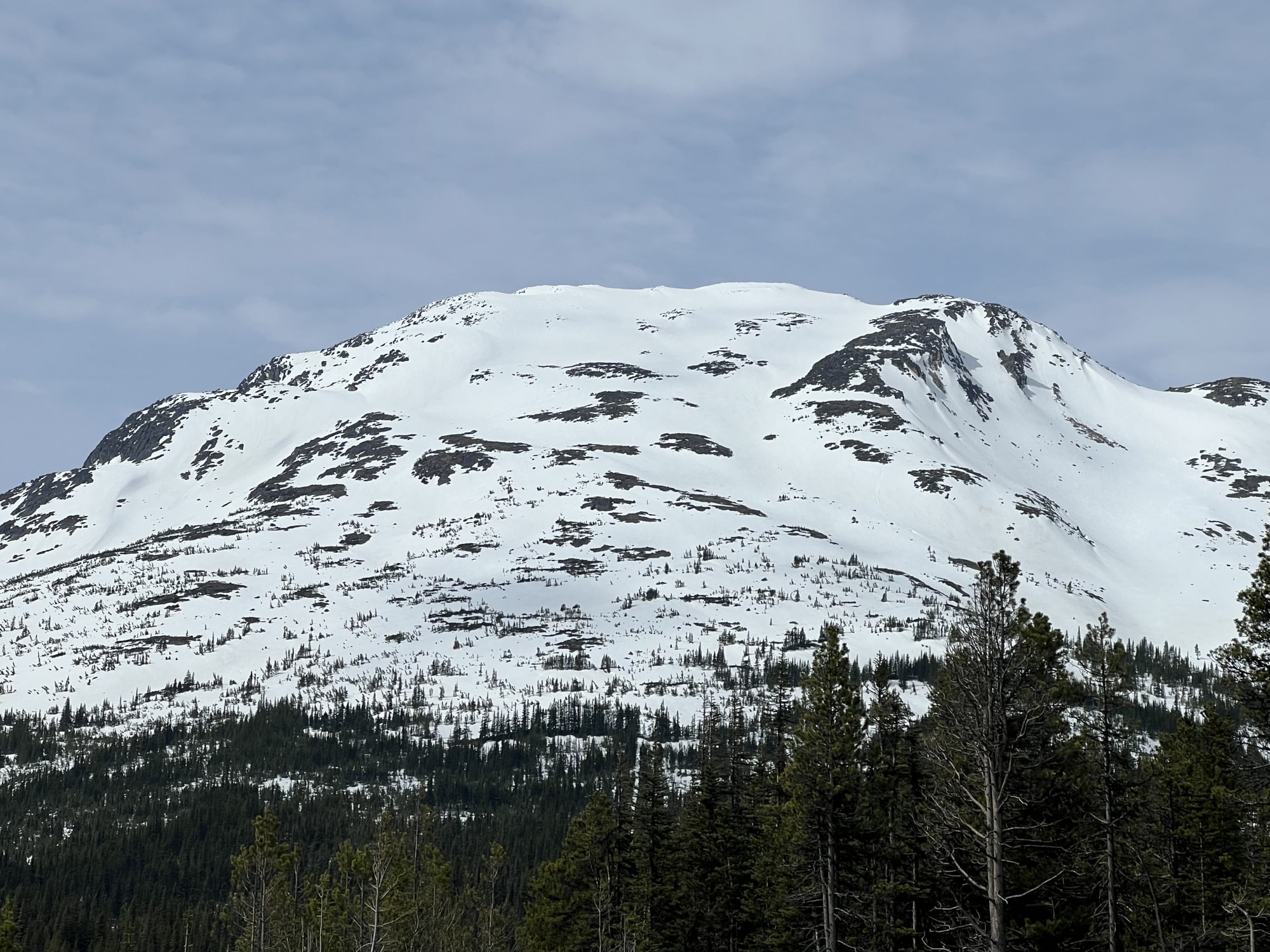 Observation photo