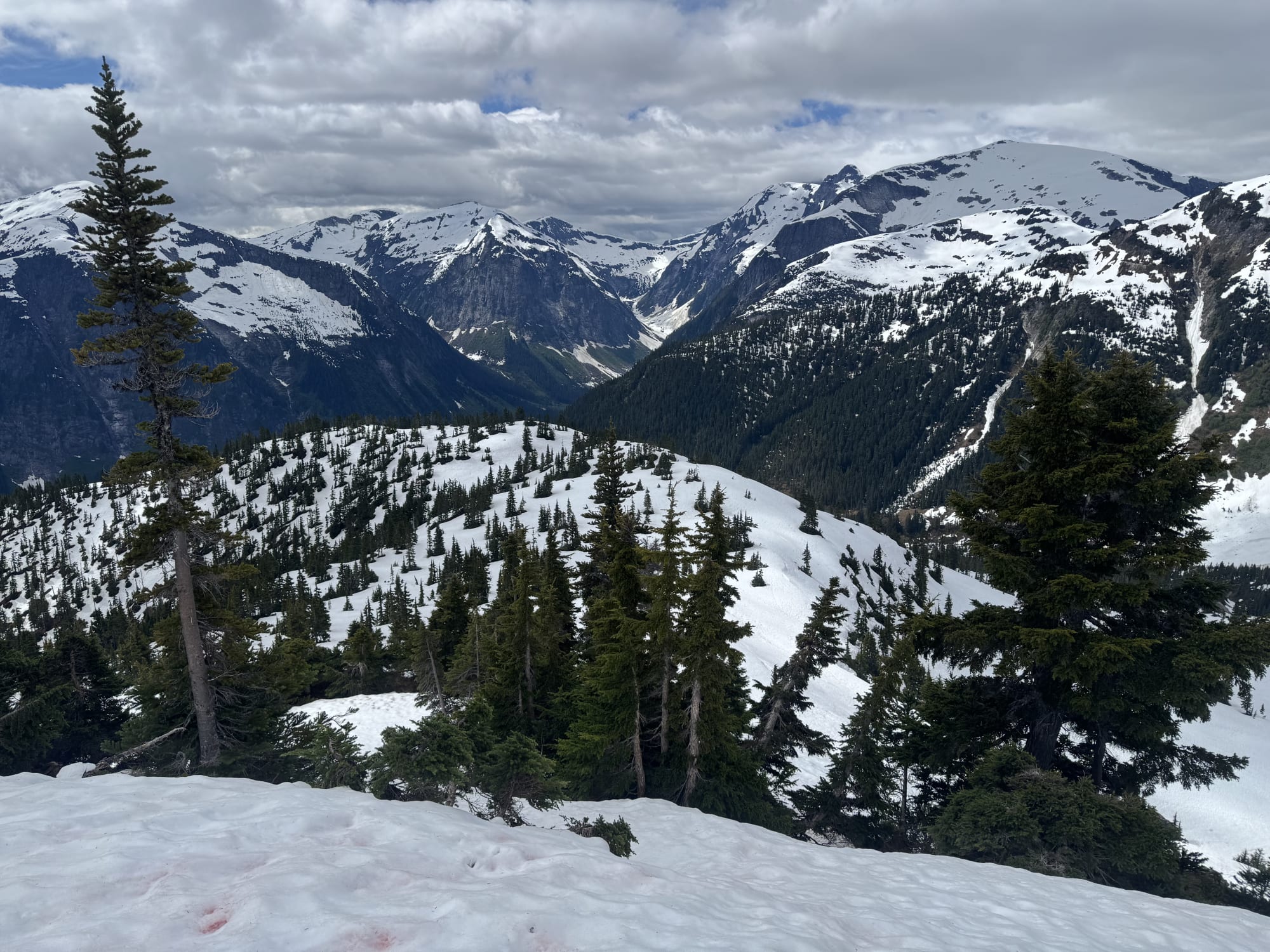 Observation photo