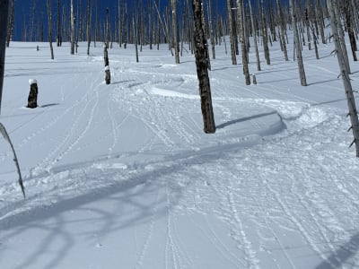 30-40 cm 