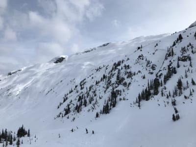 Note the crowns between the trees/cliffs as well