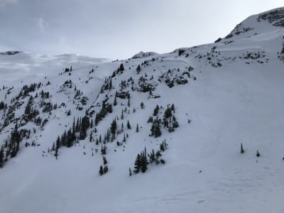 Note the crowns spanning all unsupported and steep terrain