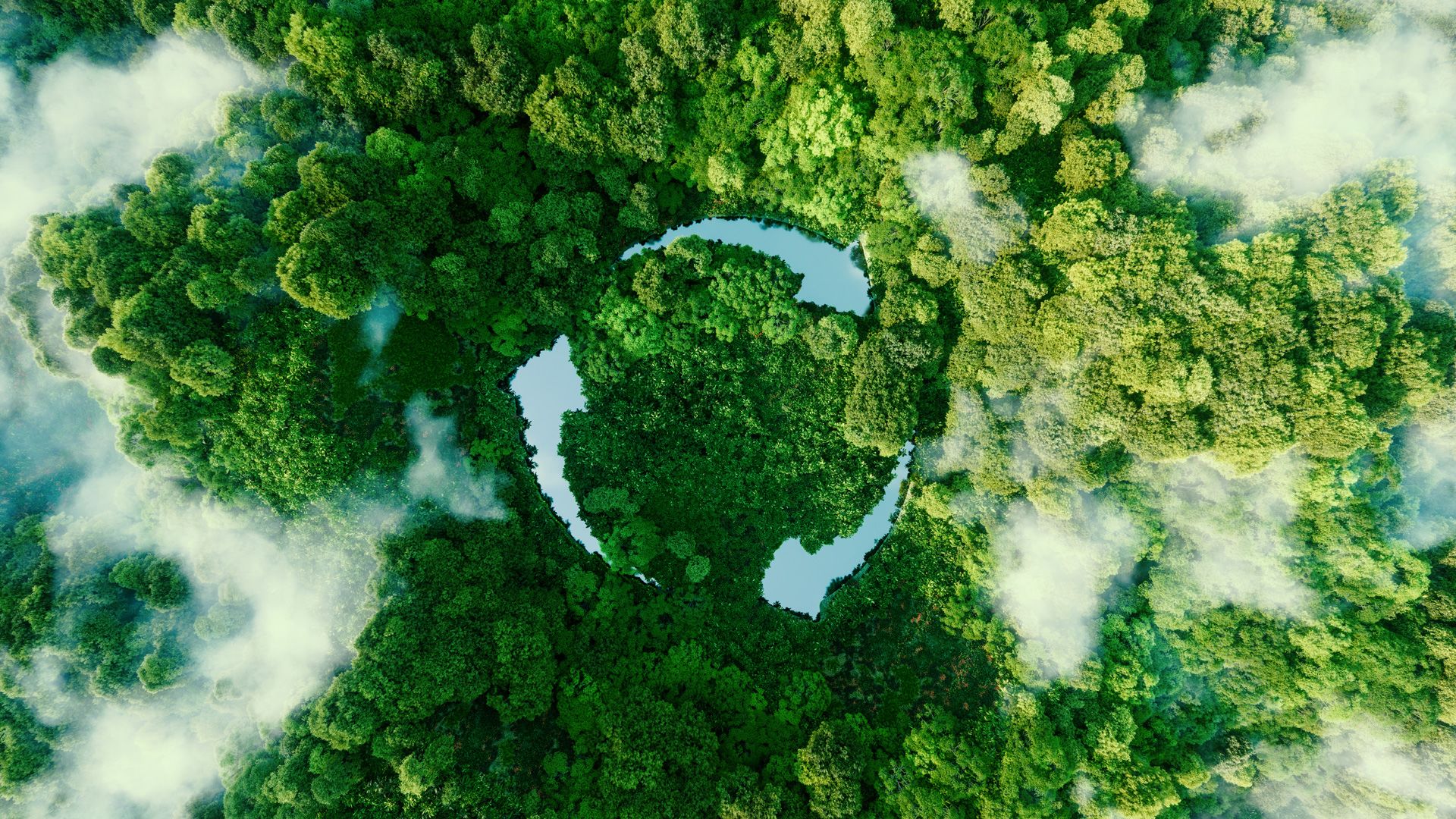 Forrest with circle of arrows