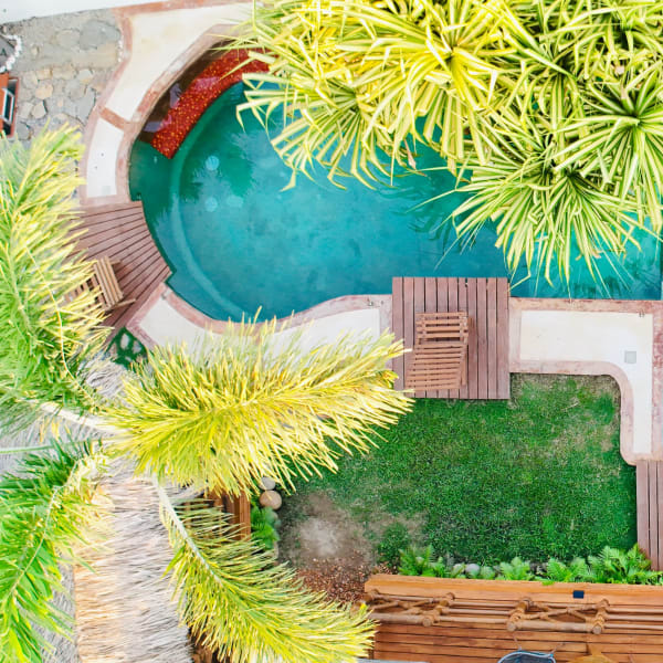 Vista aérea de la alberca turquesa, el jardín y las palmeras del club