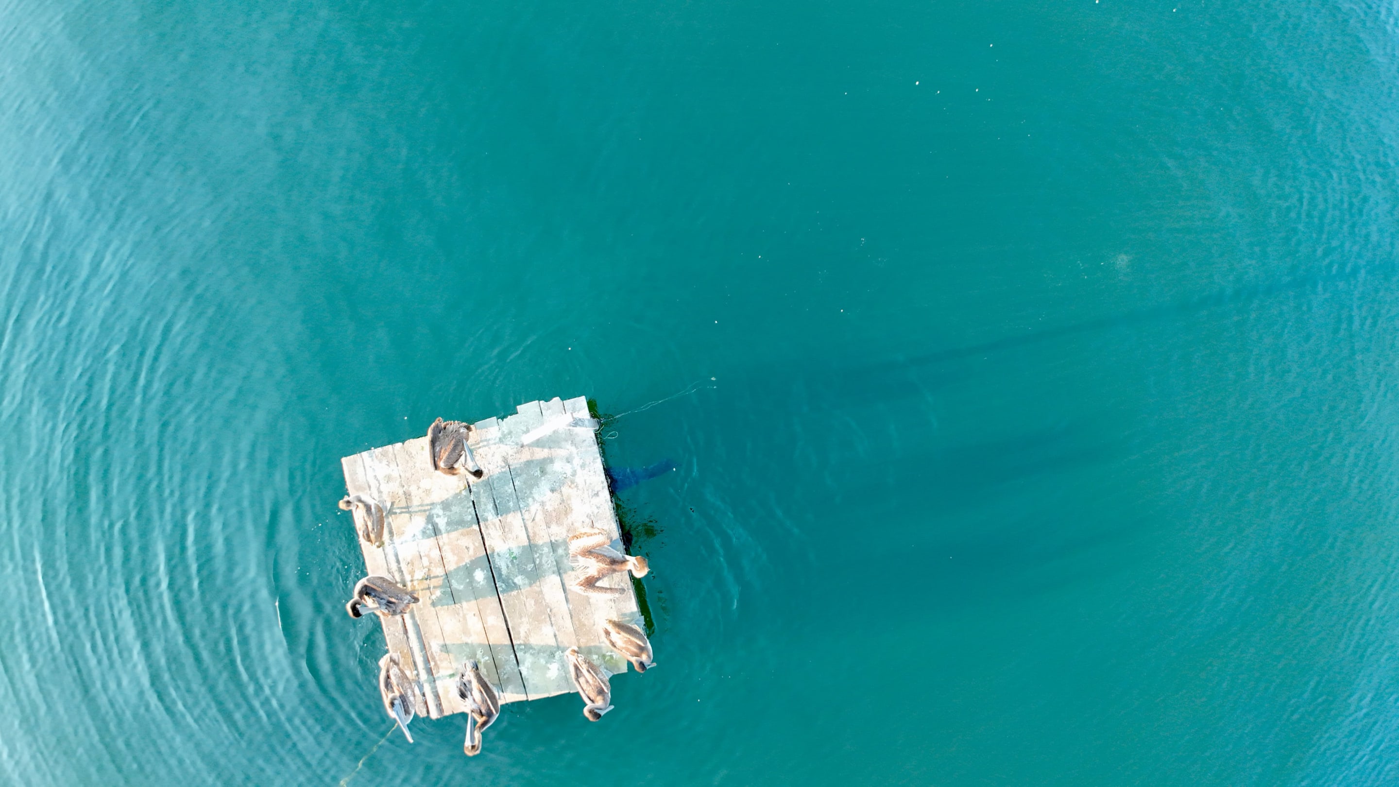 Balsa de madera en el mar turquesa, vista desde arriba
