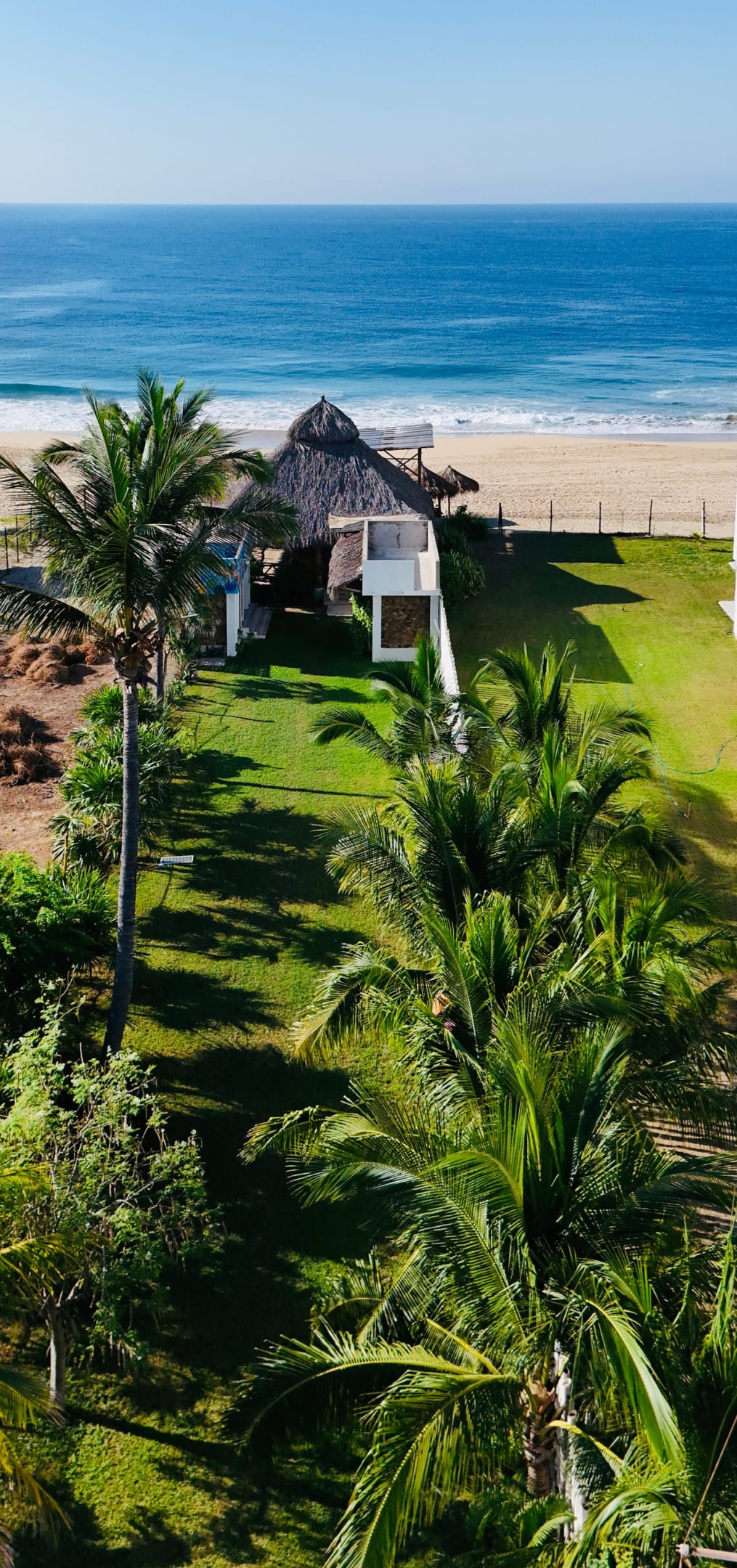 Vista aérea del jardín, las palmeras y el club de playa frente al mar