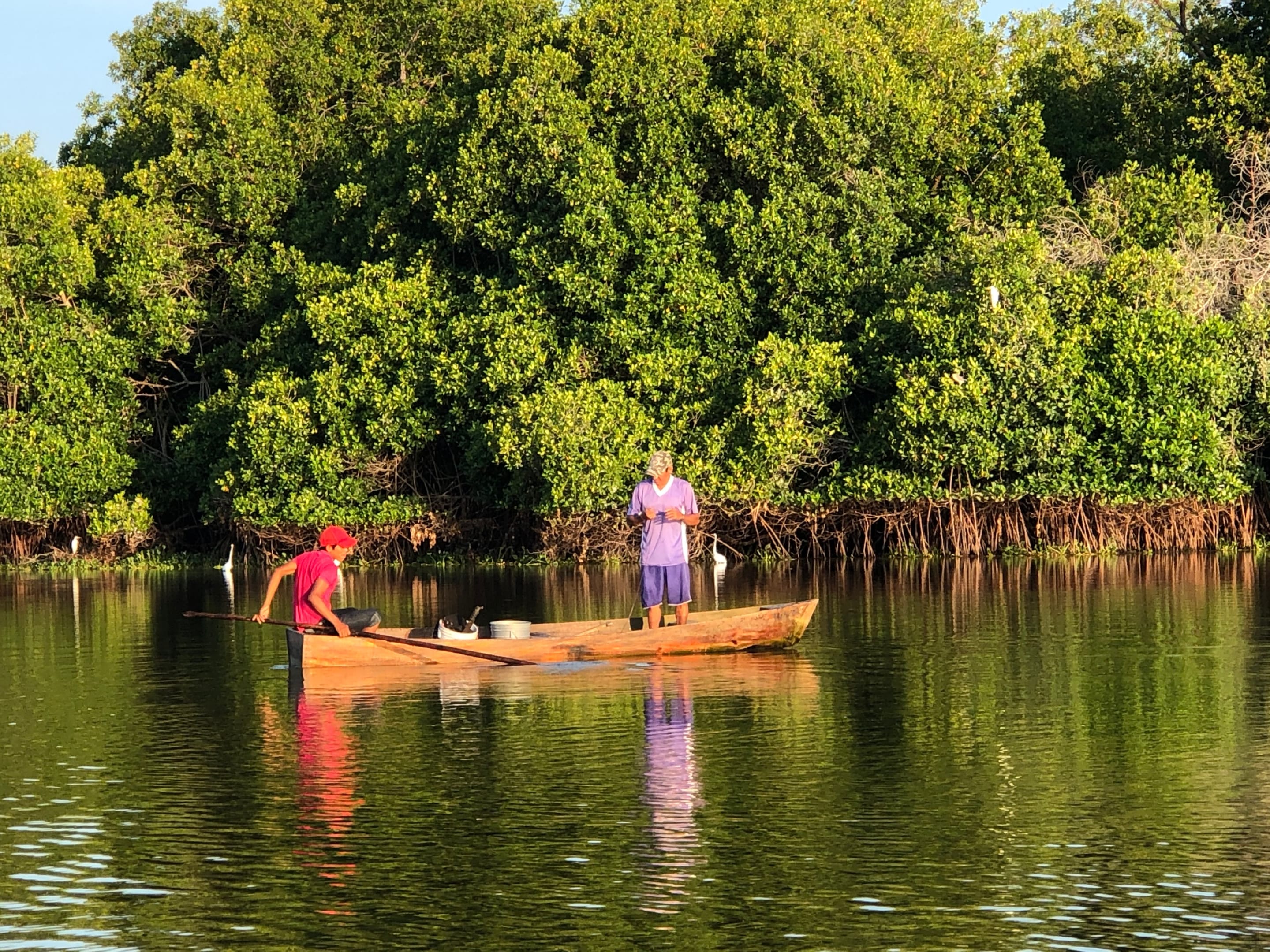 Paseo en canoa entre manglares
