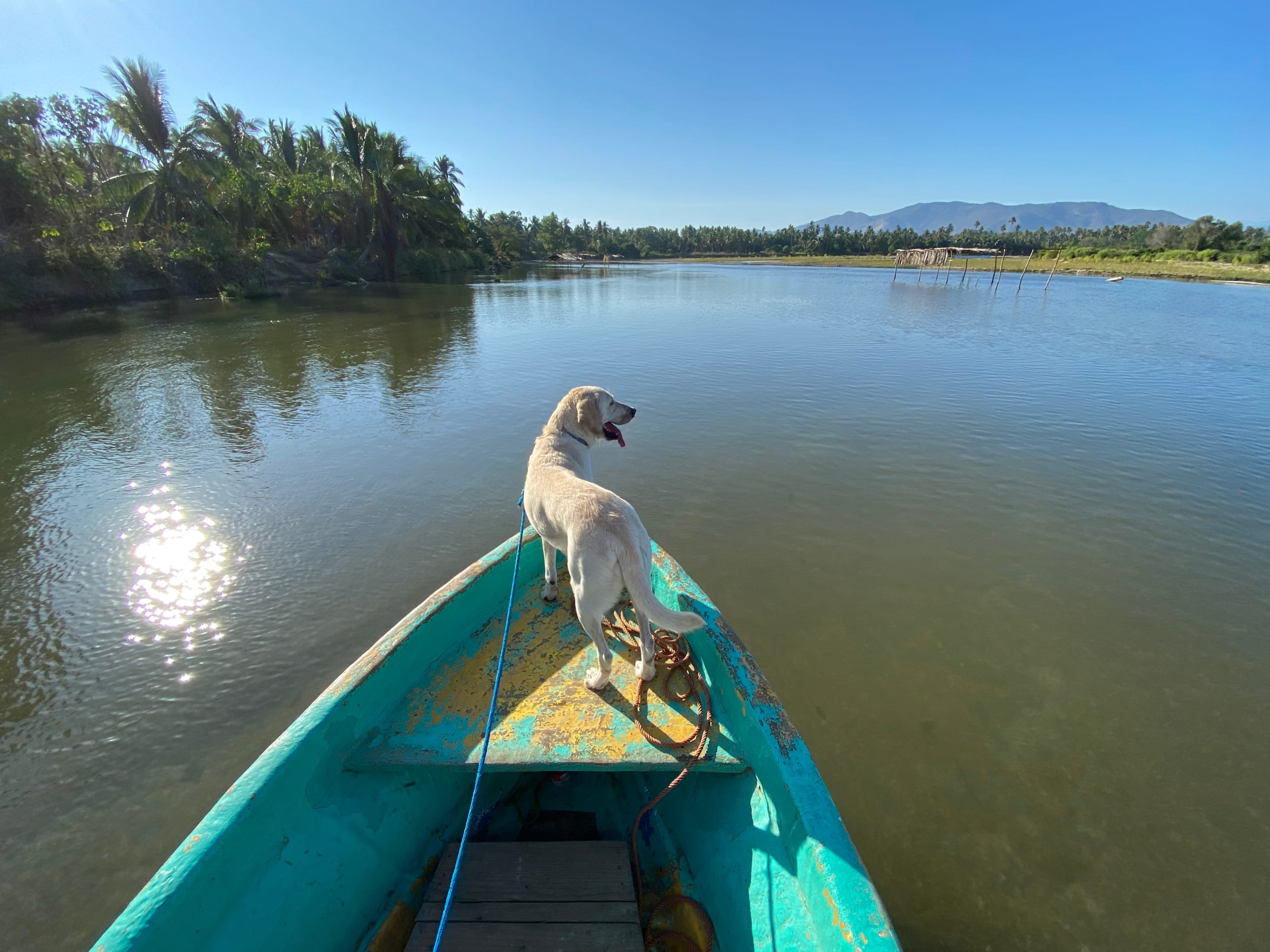 Lancha en la Laguna de Coyuca