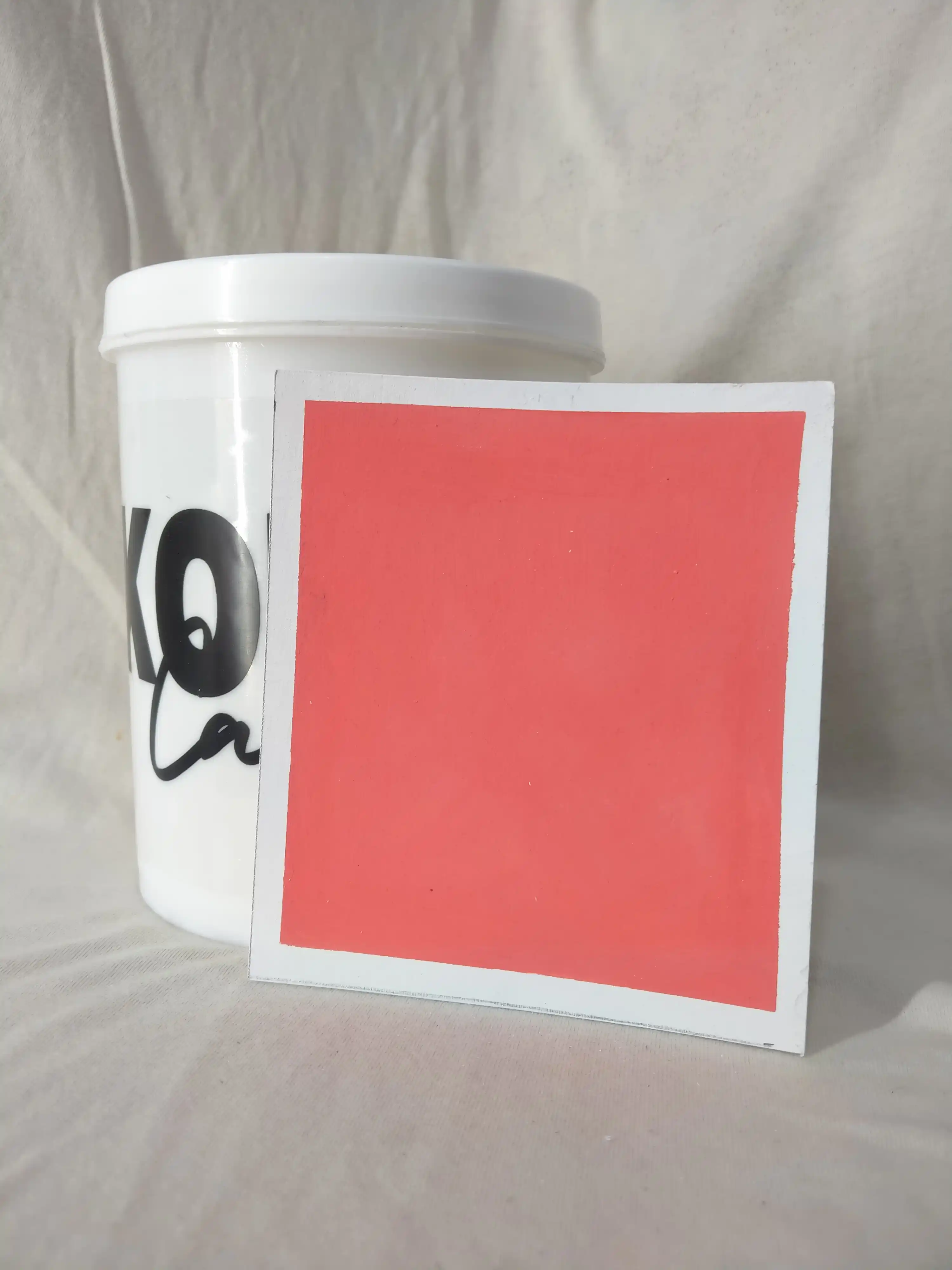 Mandy Lime Wash Texture Paint India - kolor canvas