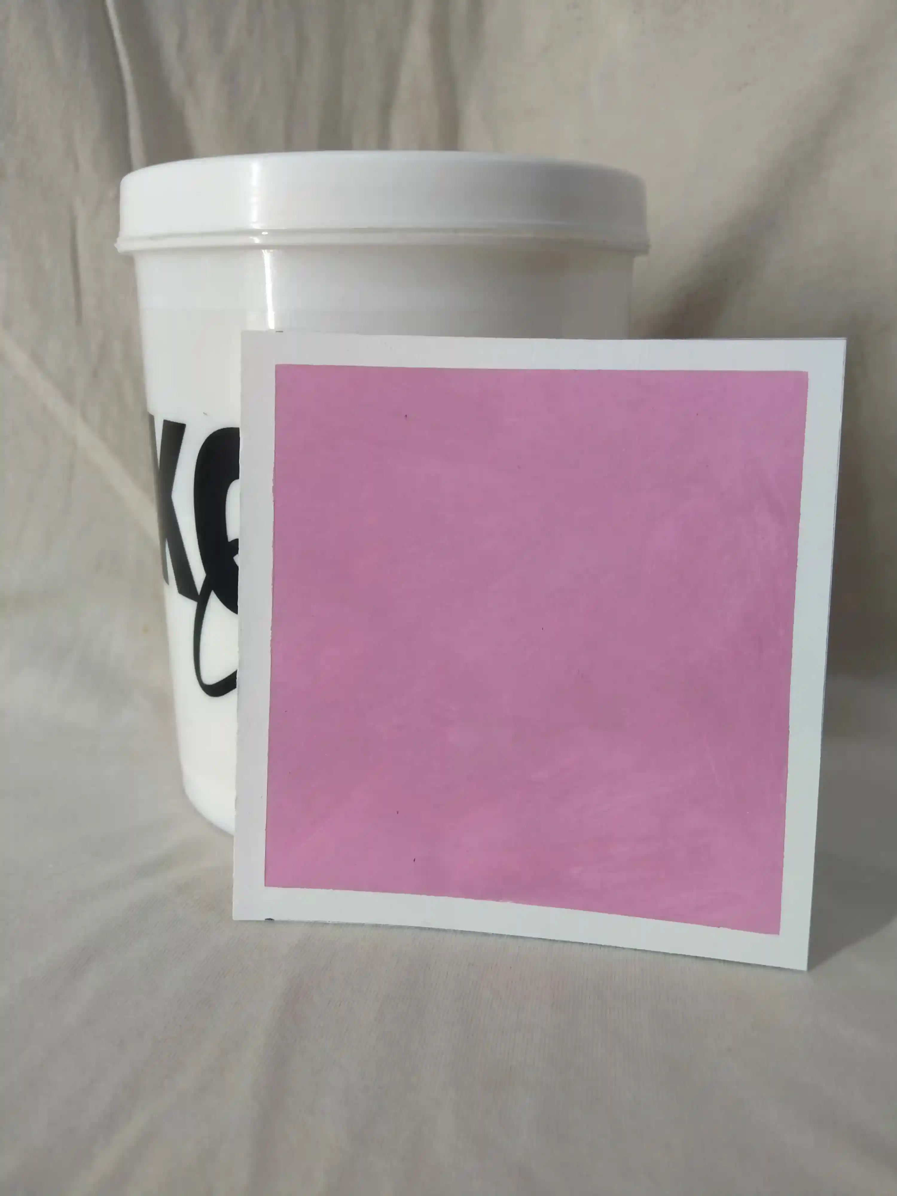 Bouquet Lime Wash Texture Paint India - kolor canvas
