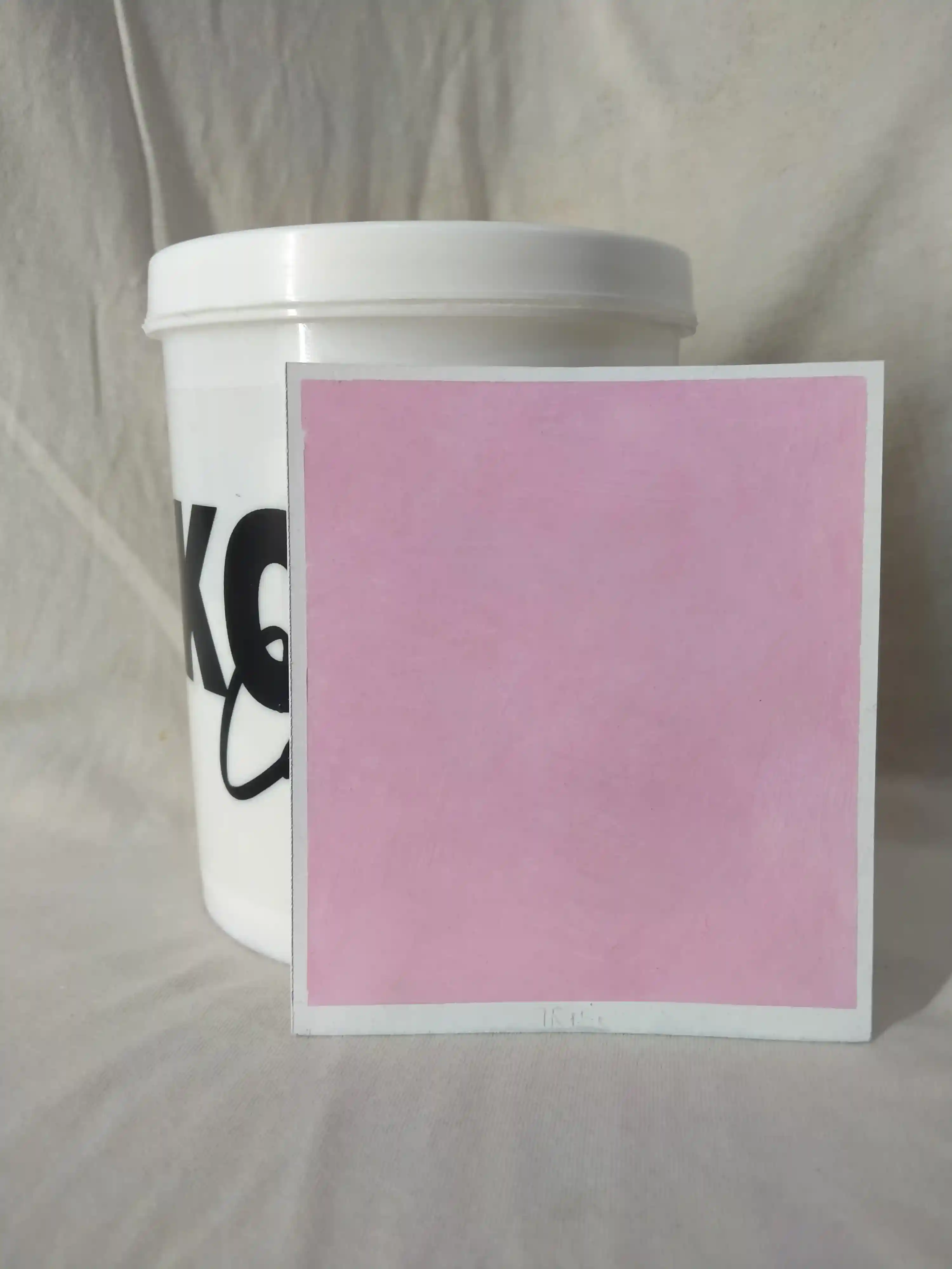 Martini Lime Wash Texture Paint India - kolor canvas