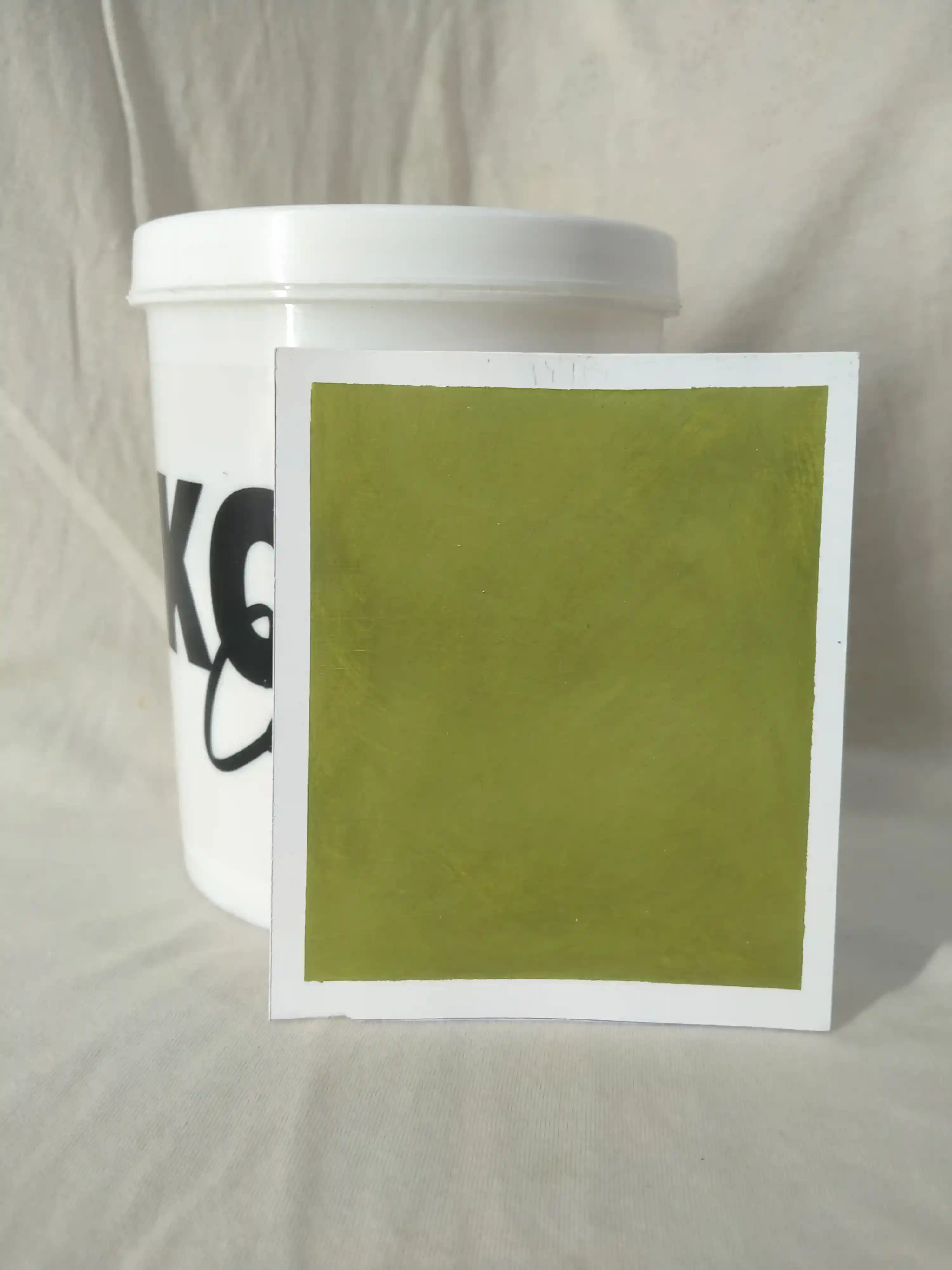Moccasin Lime Wash Texture Paint India - kolor canvas