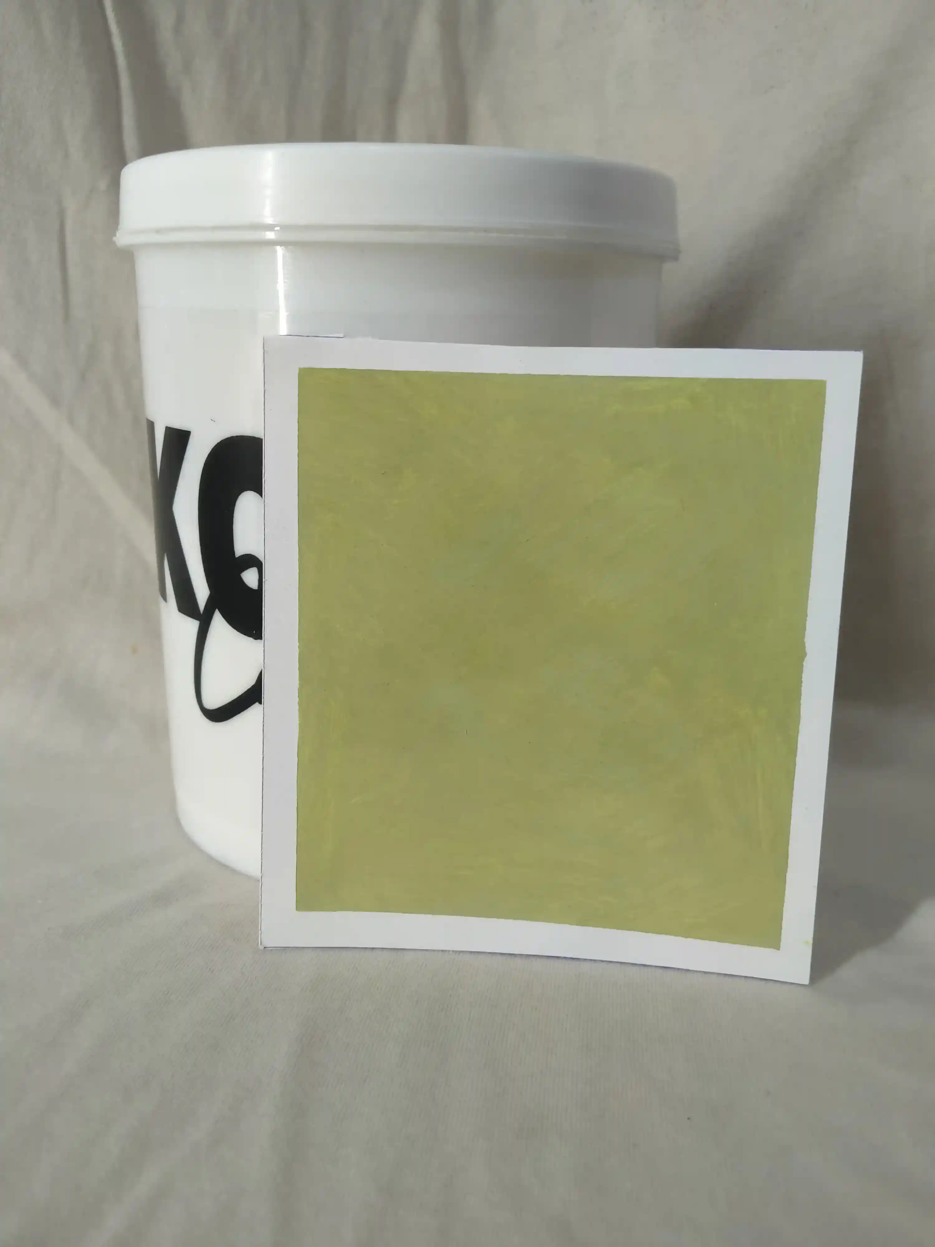 Moss Lime Wash Texture Paint India - kolor canvas