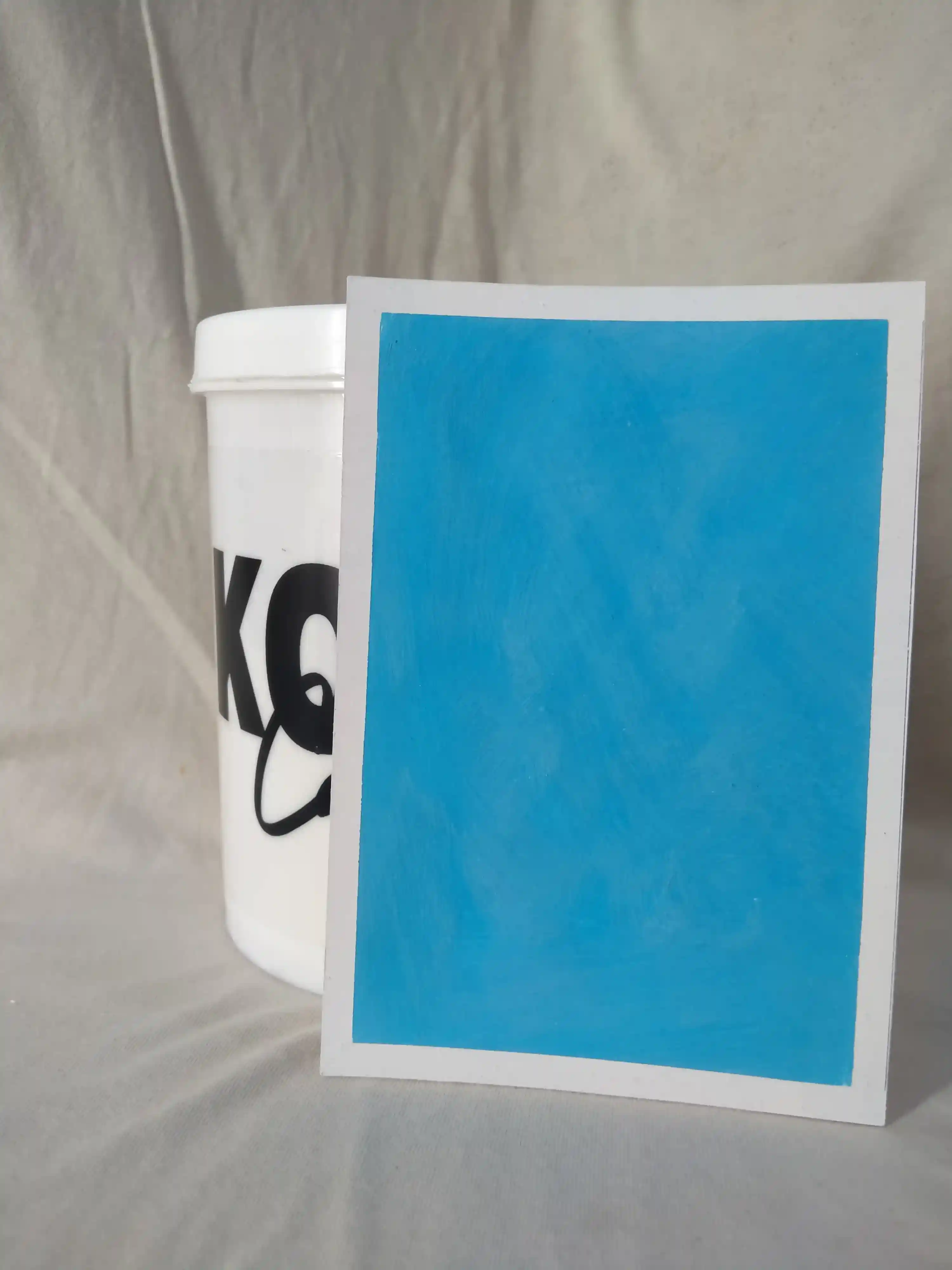 Bondi Lime Wash Texture Paint India - kolor canvas