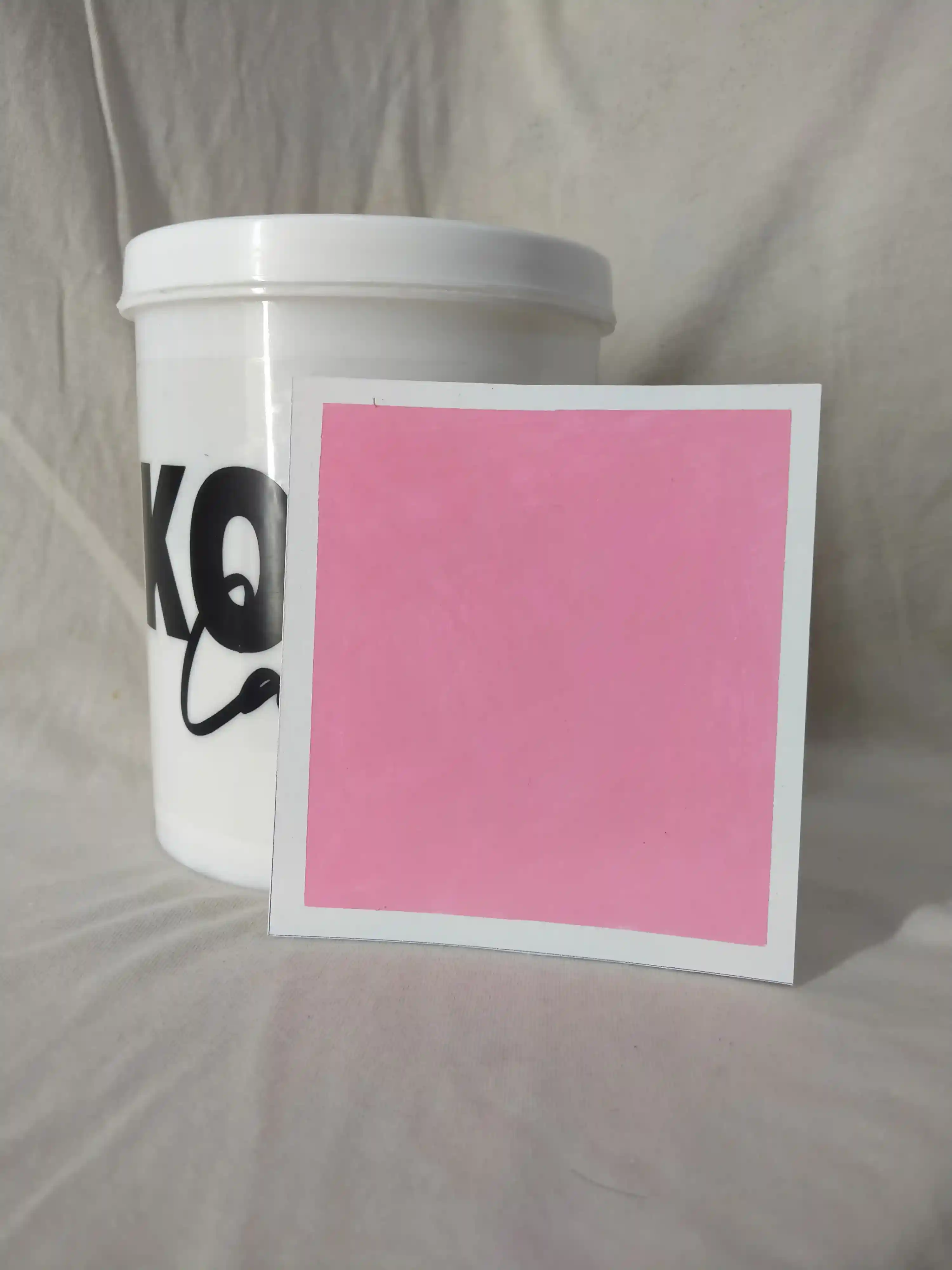 Blush Lime Wash Texture Paint India - kolor canvas