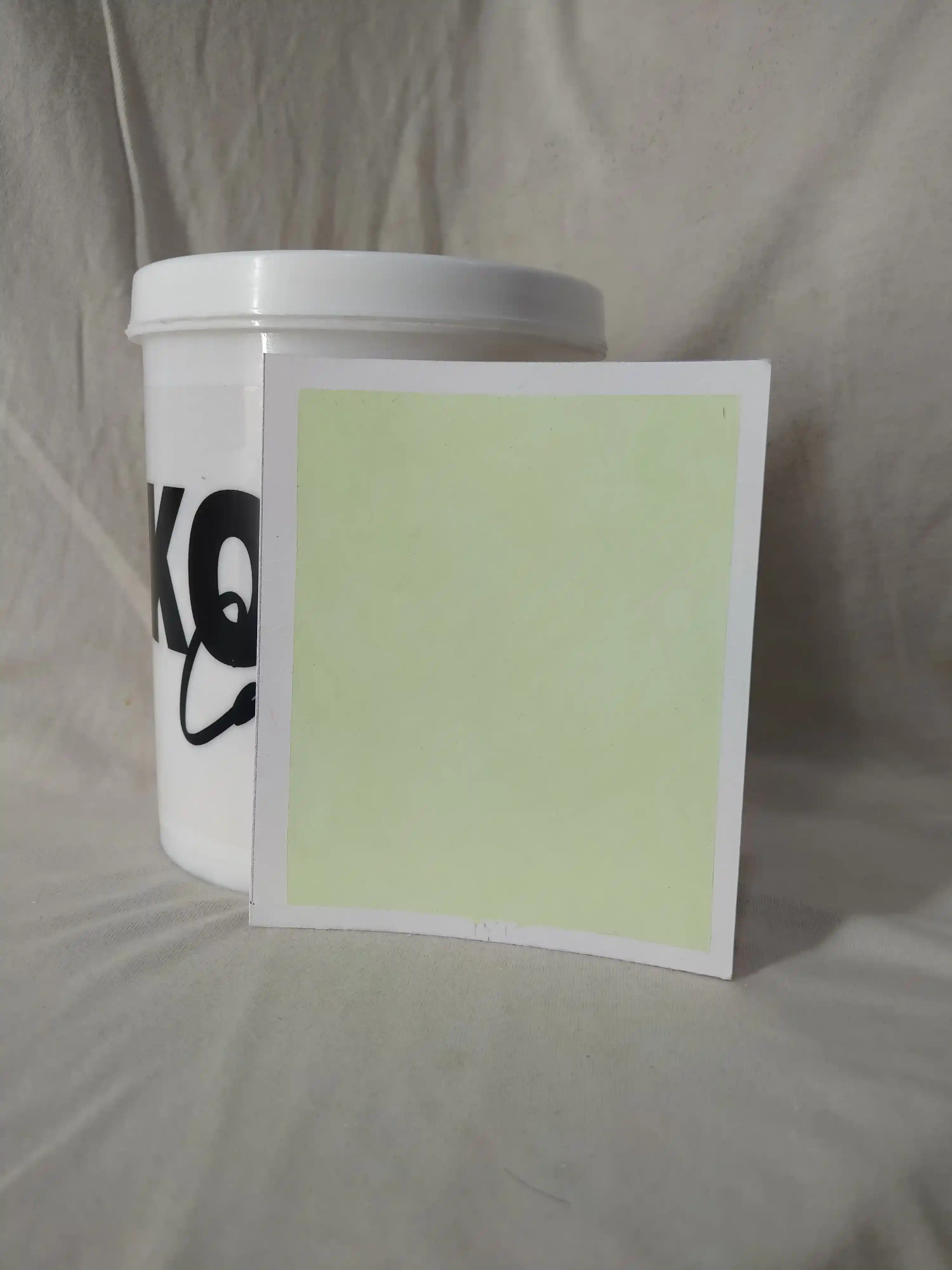 Lichen Lime Wash Texture Paint India - kolor canvas