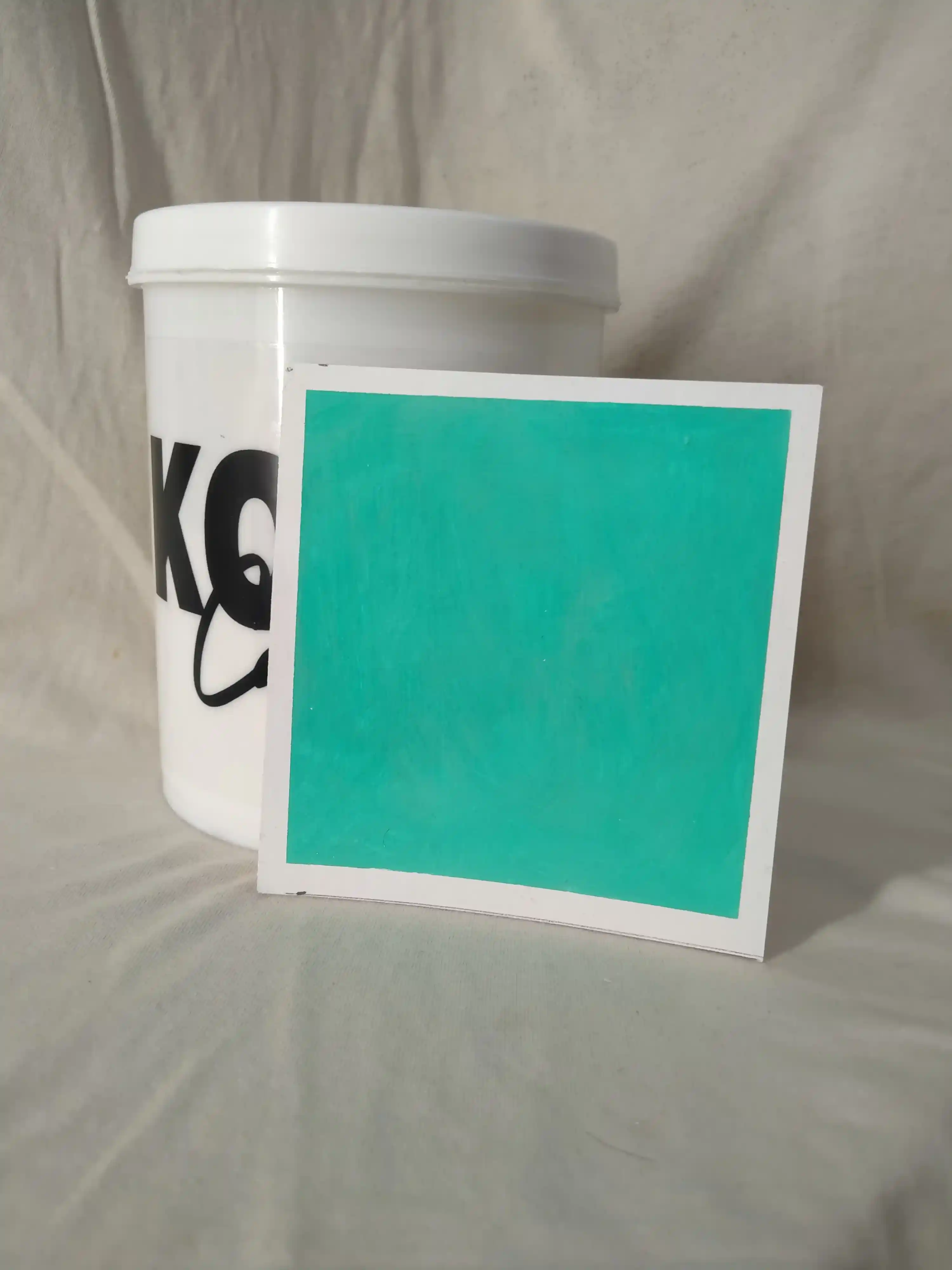 Jade Lime Wash Texture Paint India - kolor canvas