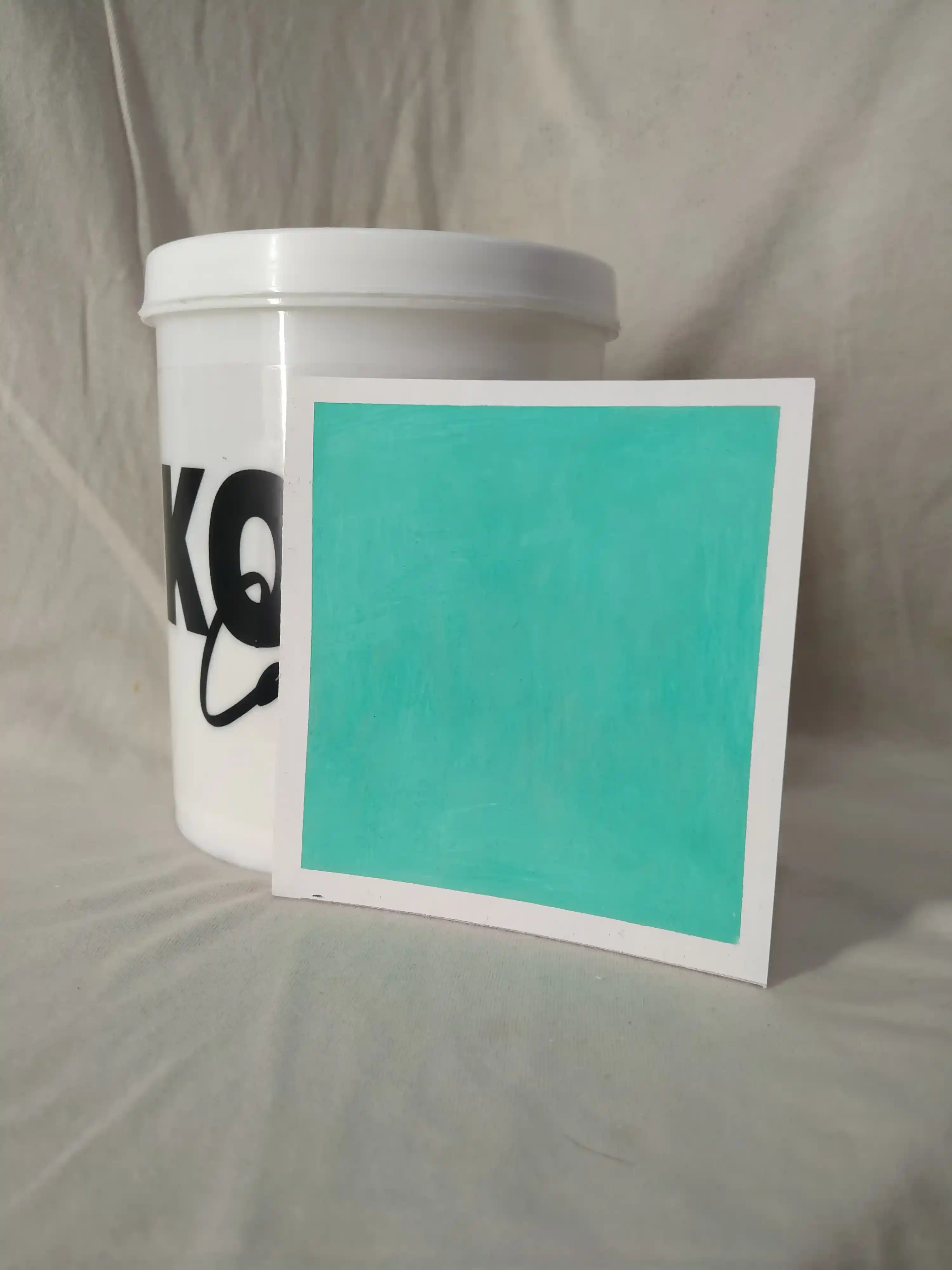 Mint Lime Wash Texture Paint India - kolor canvas