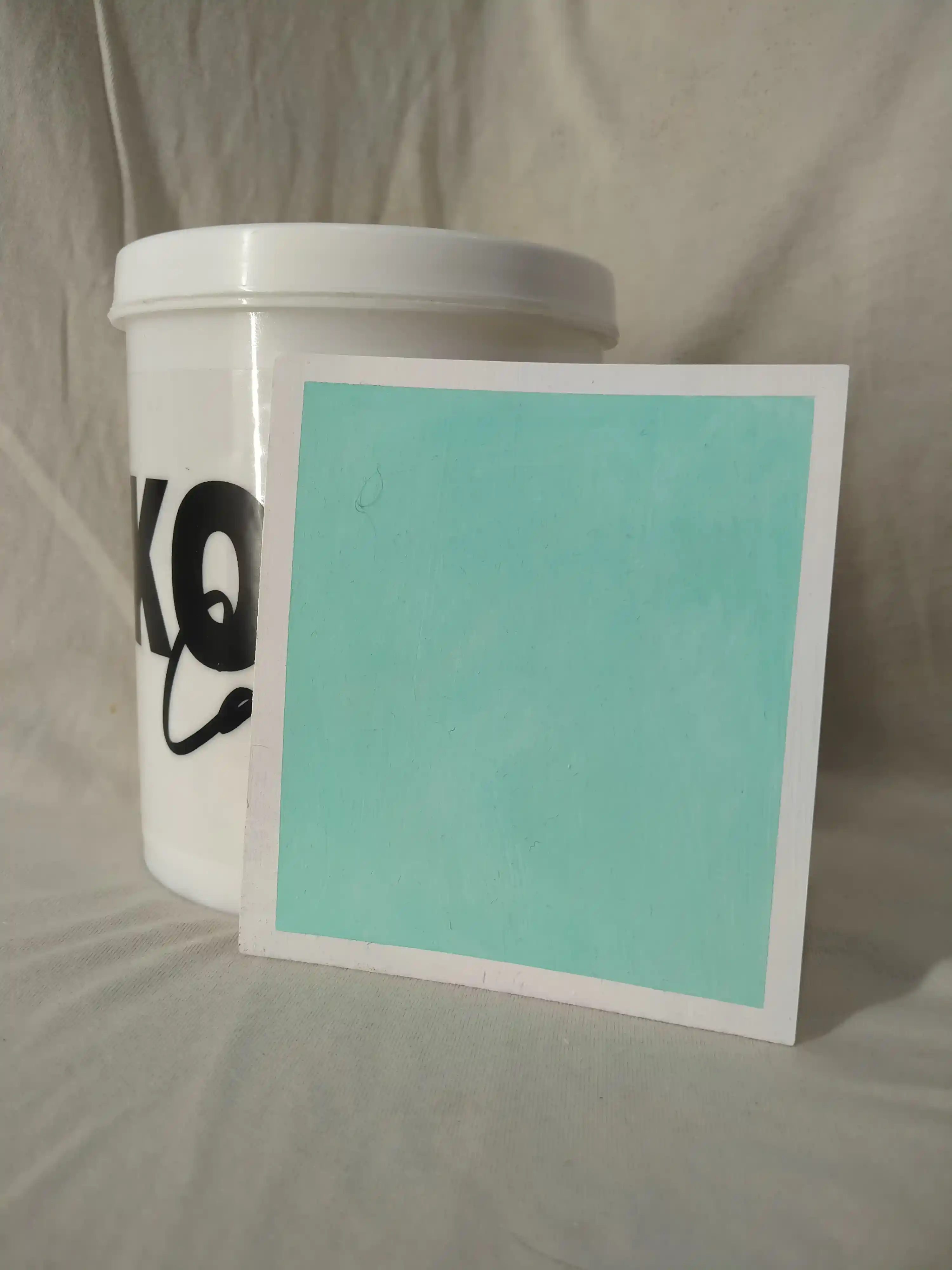 Cascade Lime Wash Texture Paint India - kolor canvas