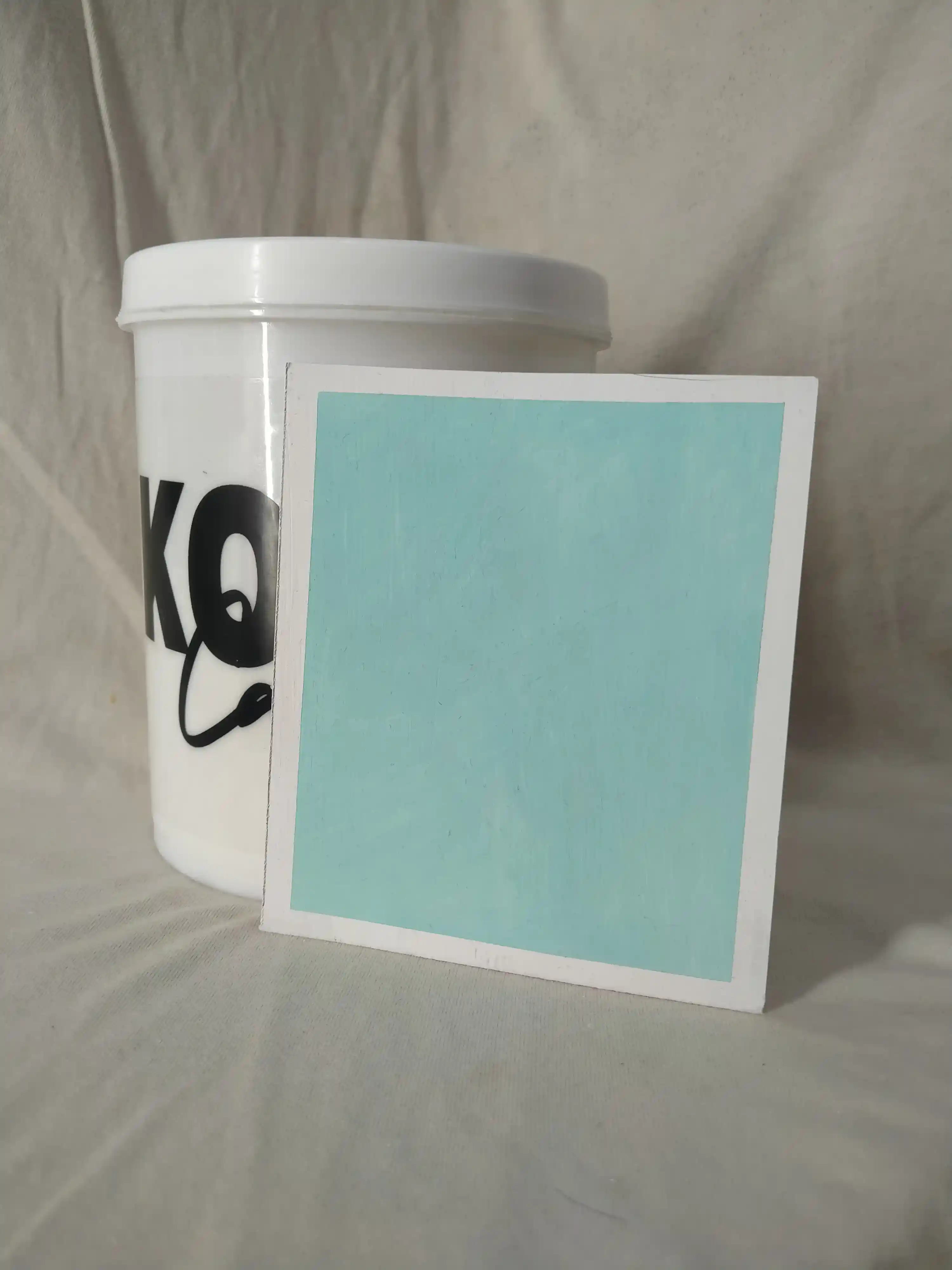 Pine Lake Lime Wash Texture Paint India - kolor canvas