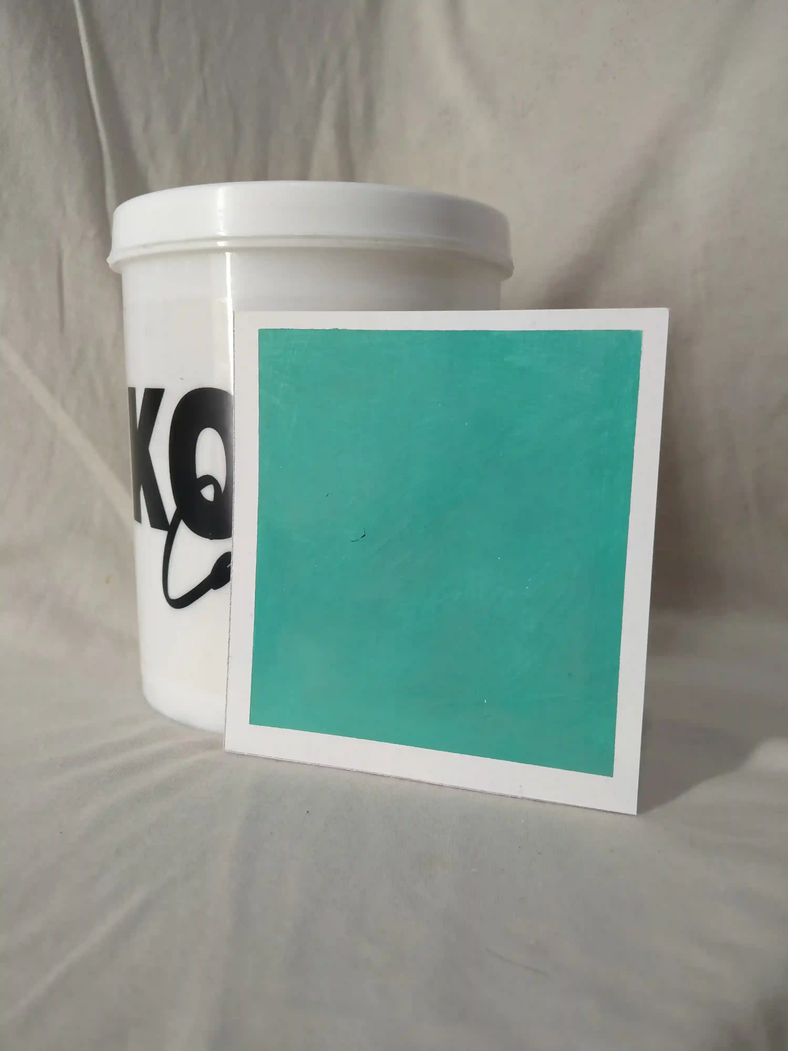 Tidepool Lime Wash Texture Paint India - kolor canvas