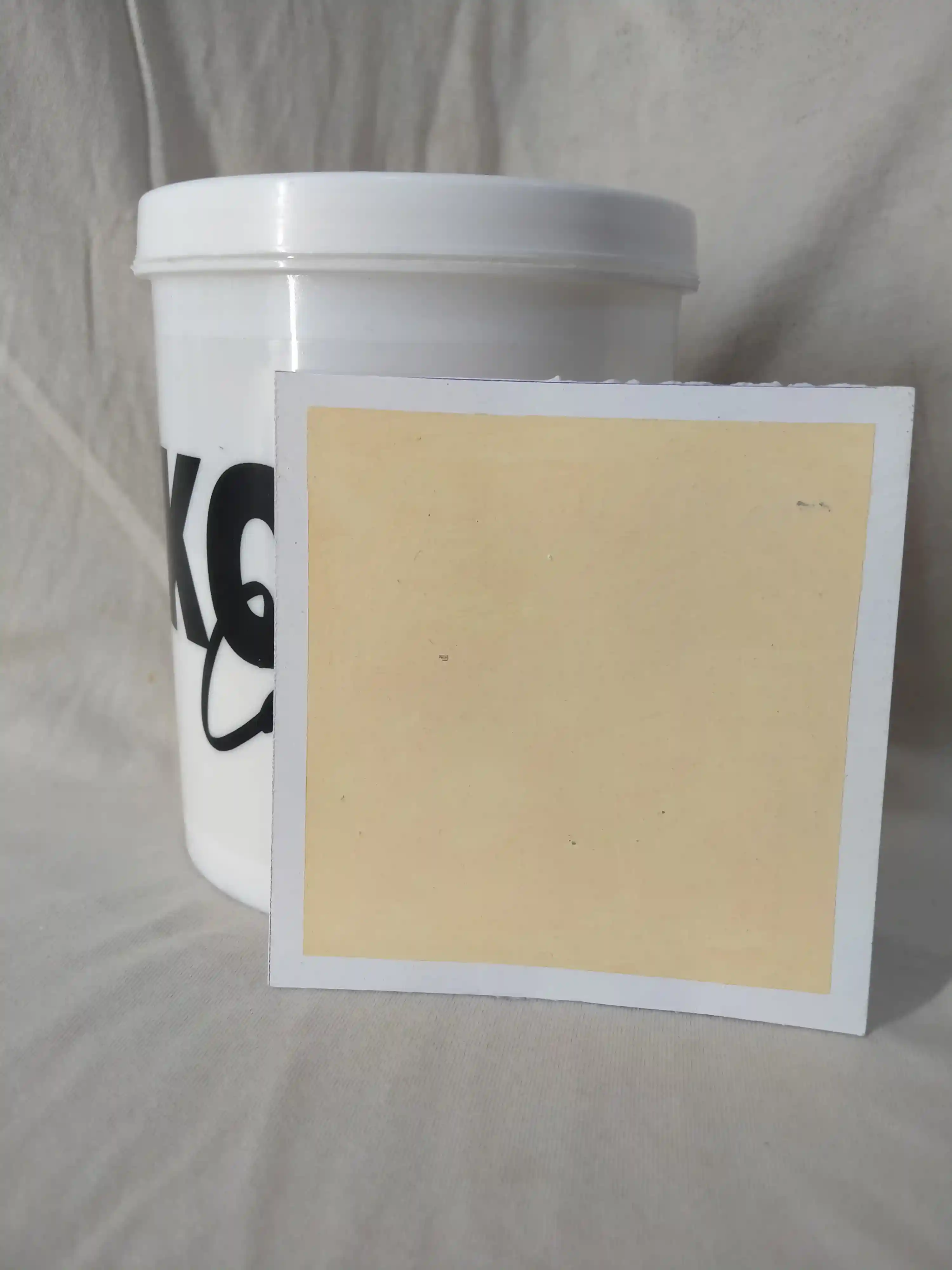 Tapestry Beige Lime Wash Texture Paint India - kolor canvas