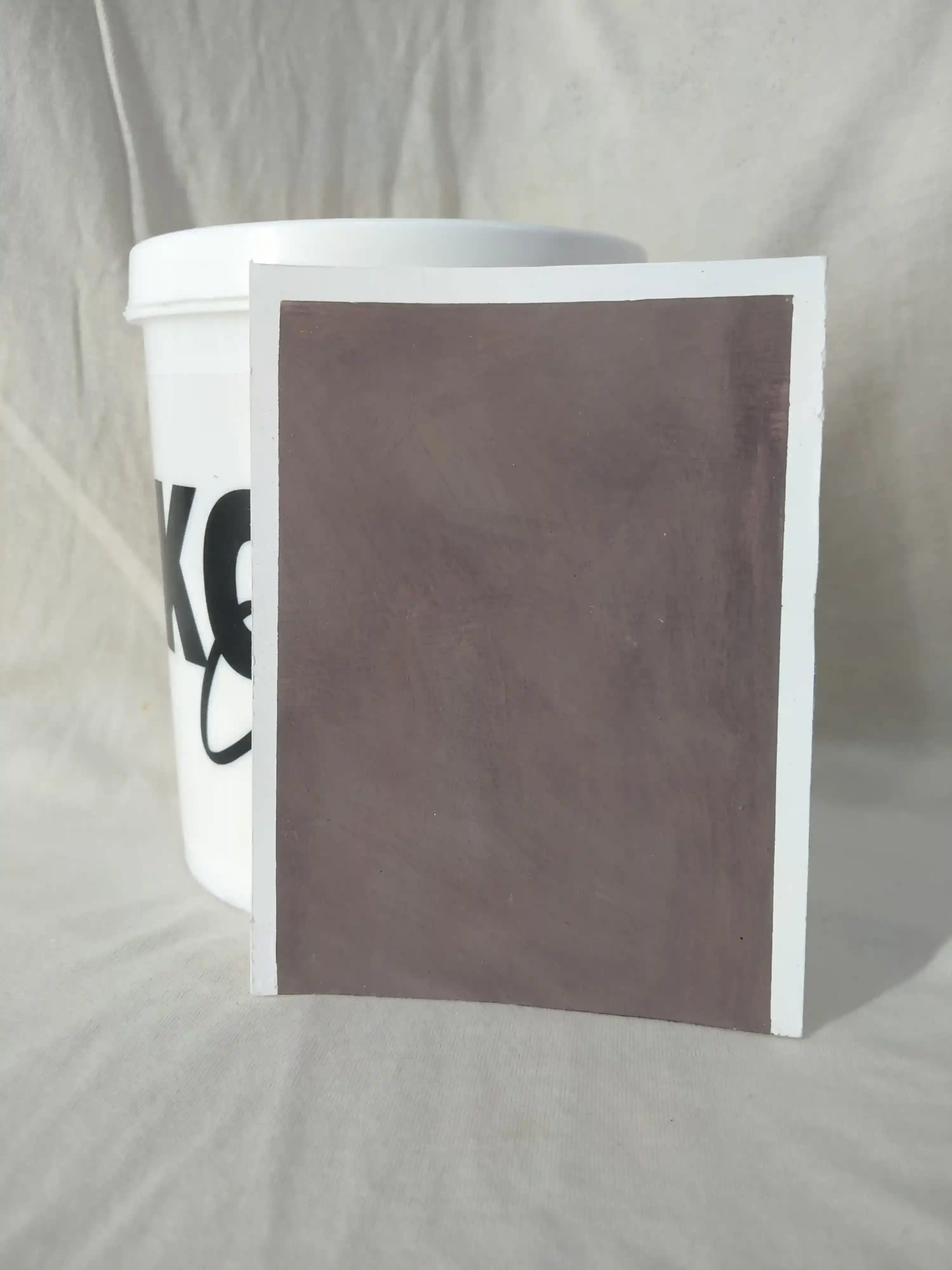 Pine Cone Lime Wash Texture Paint India - kolor canvas