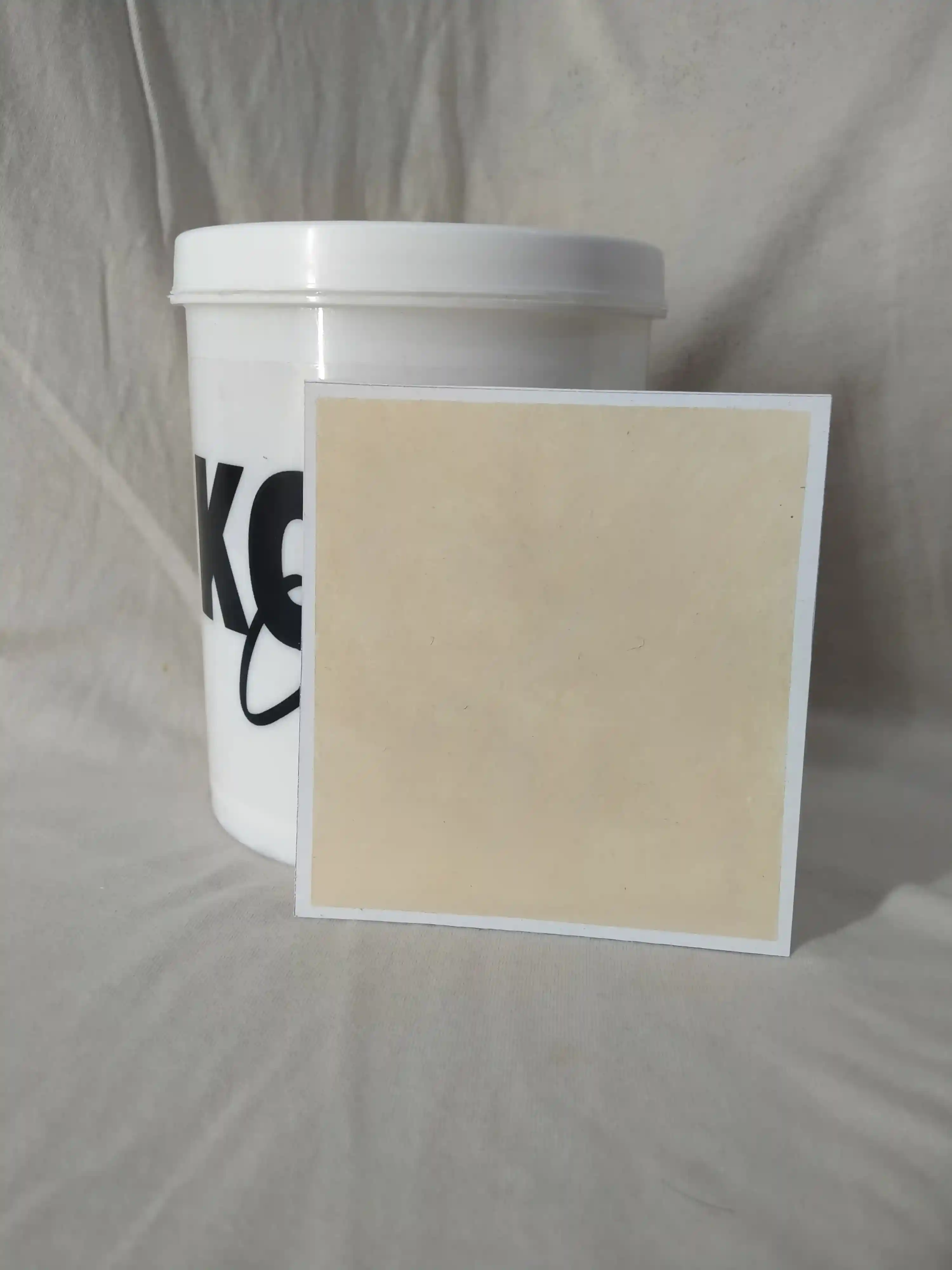 Mushroom Lime Wash Texture Paint India - kolor canvas