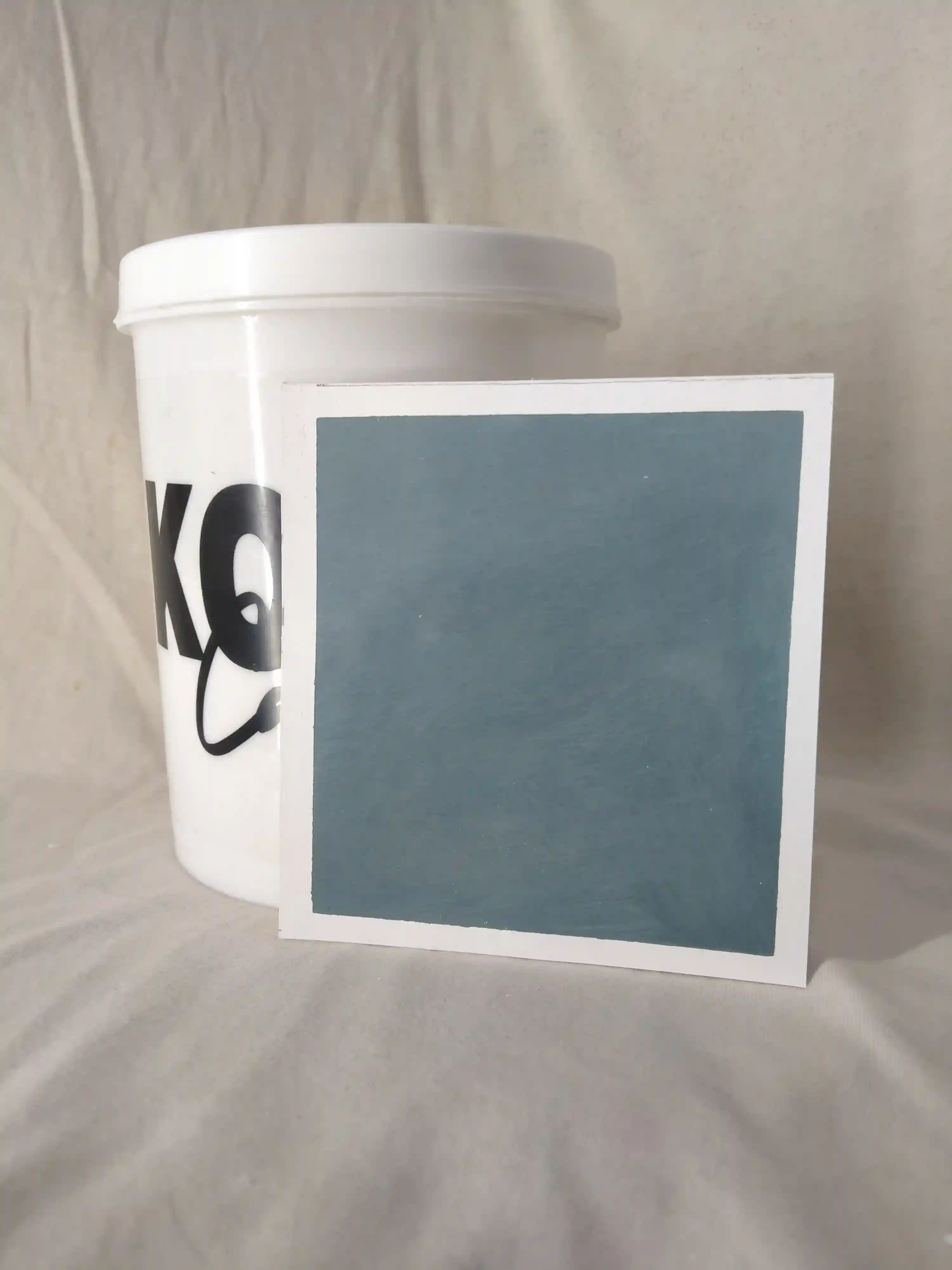 Casal Lime Wash Texture Paint India - kolor canvas