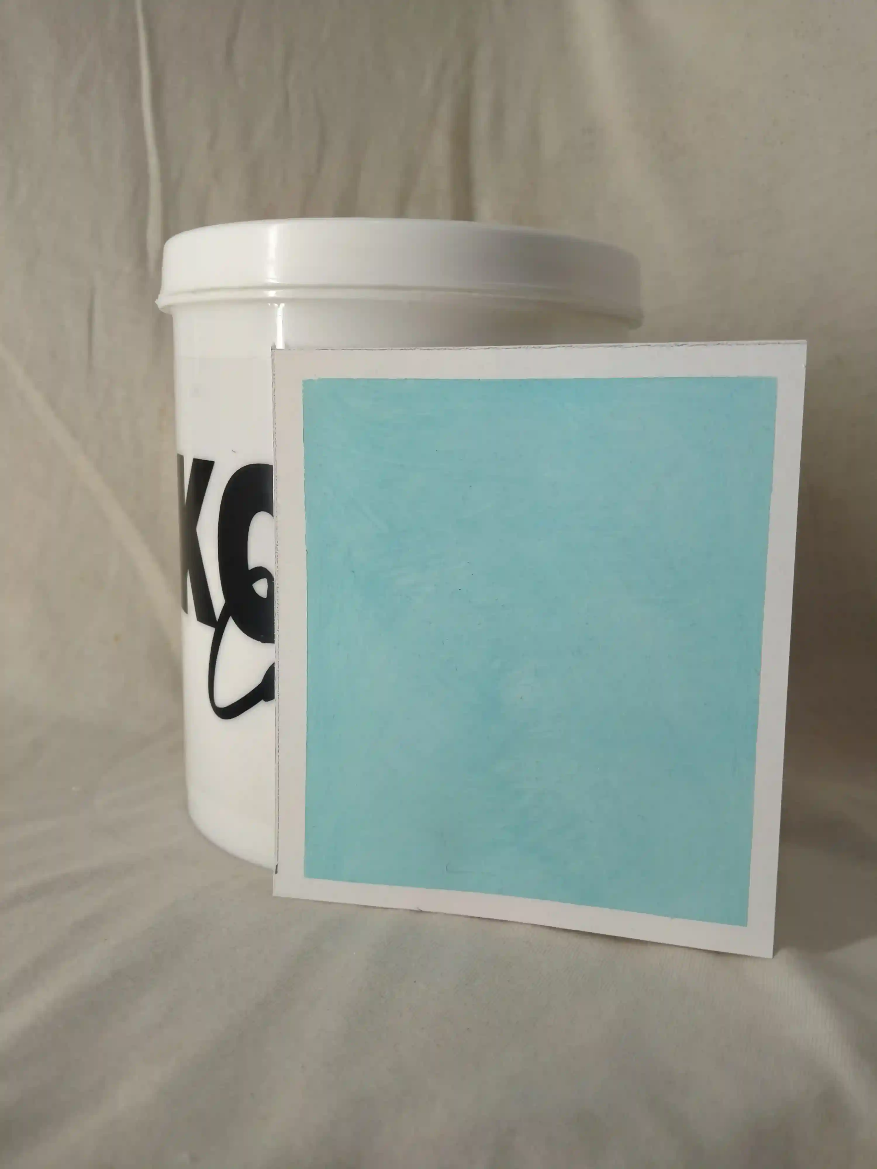Blue Koi Lime Wash Texture Paint India - kolor canvas