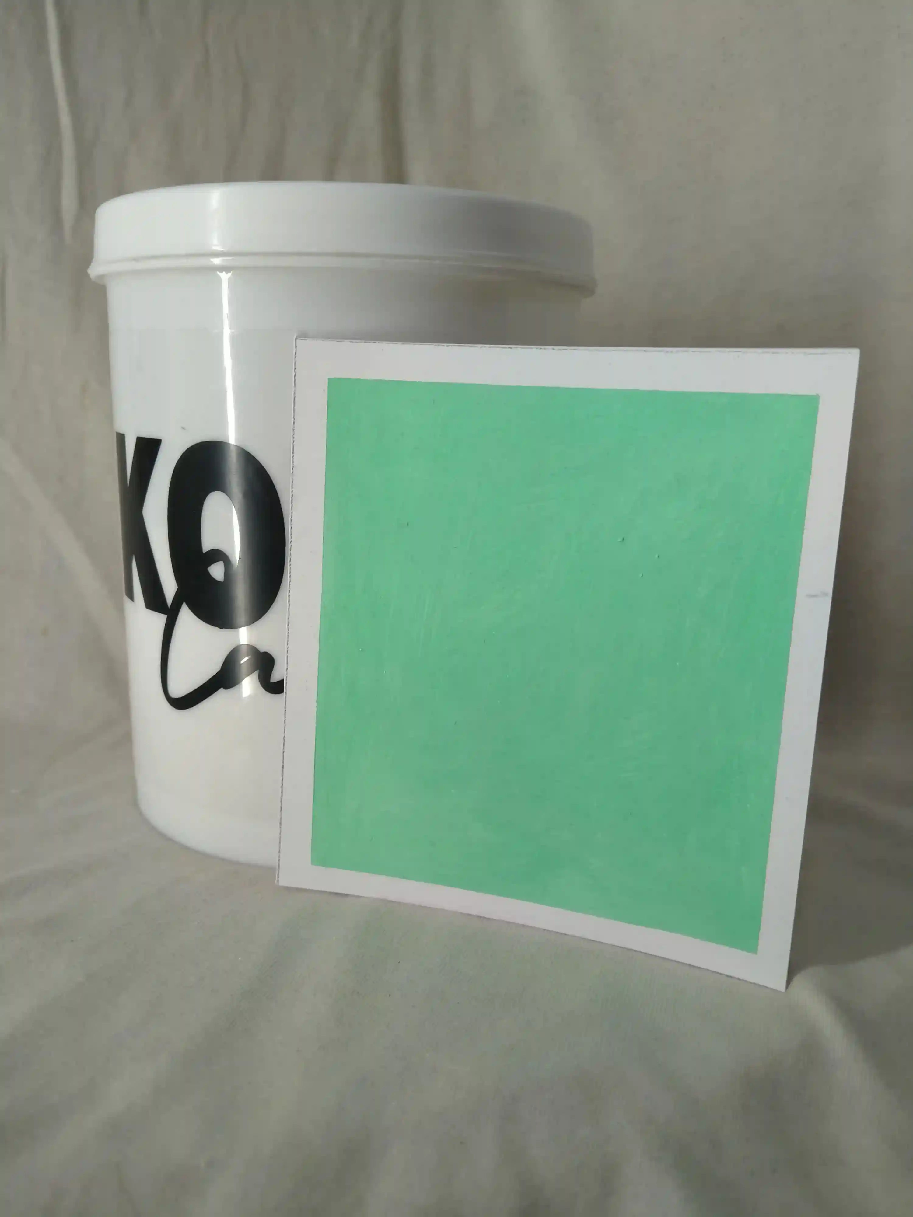 Fern Lime Wash Texture Paint India - kolor canvas