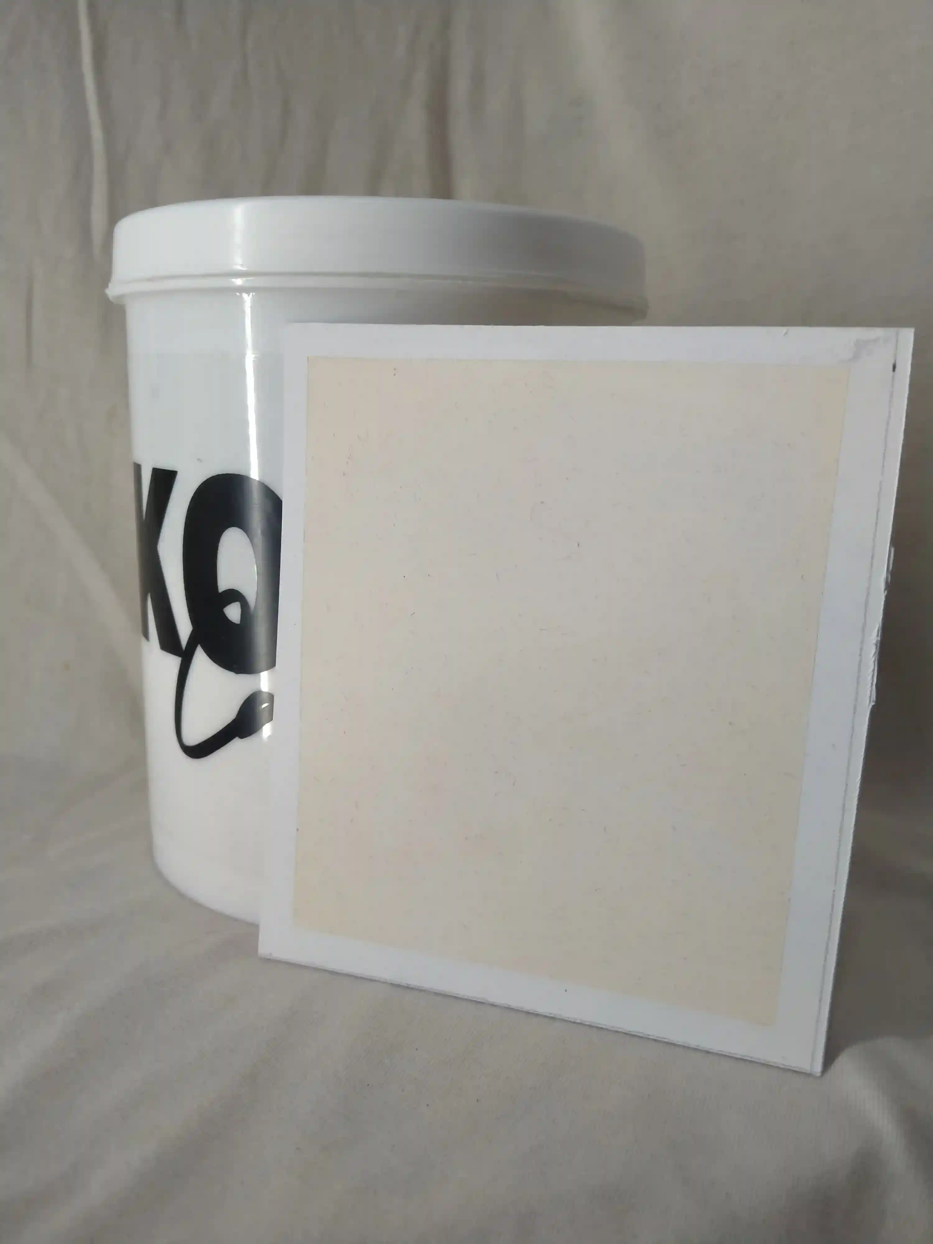 Fawn Lime Wash Texture Paint India - kolor canvas
