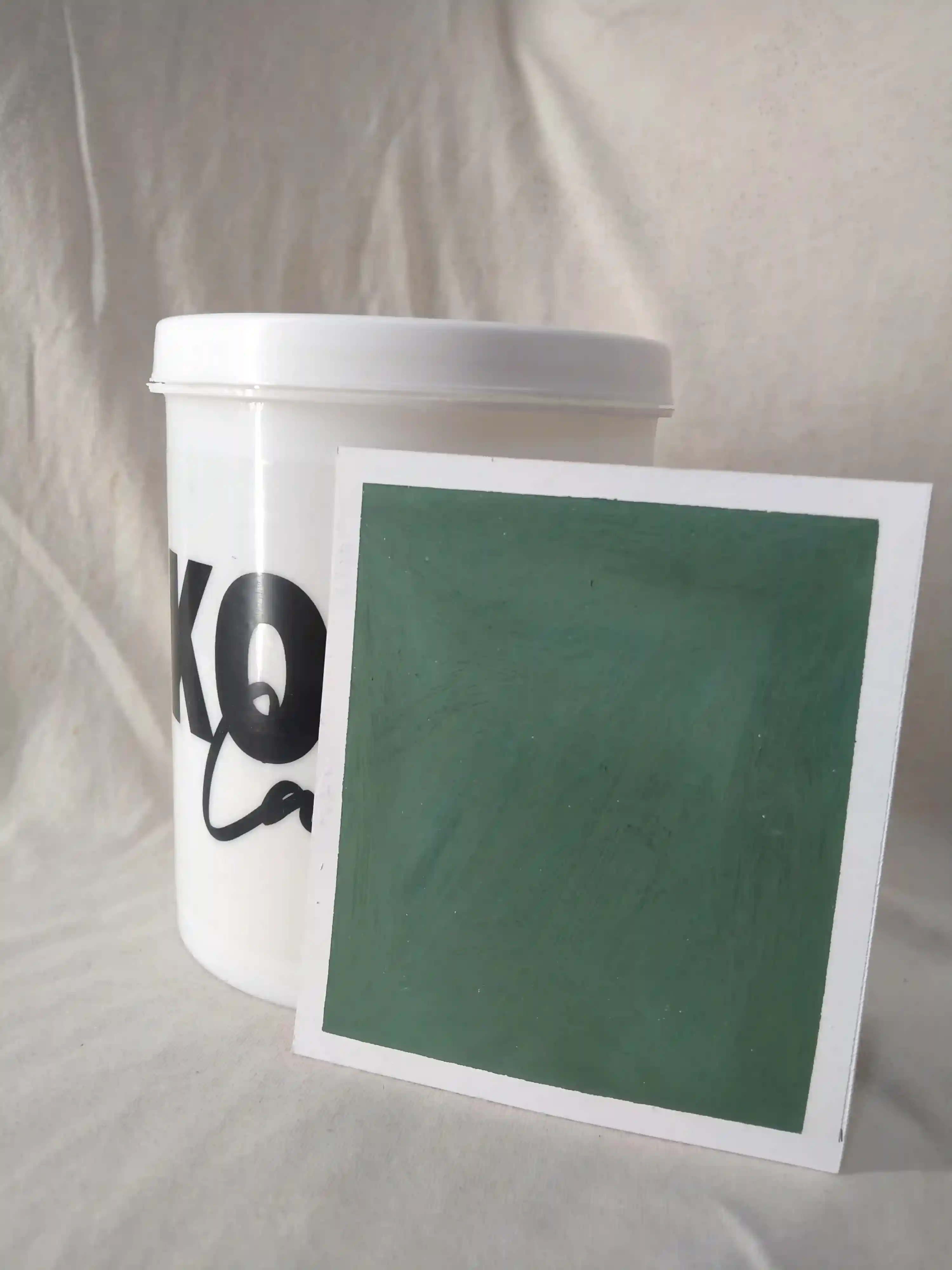 Emerald Depths Lime Wash Texture Paint India - kolor canvas