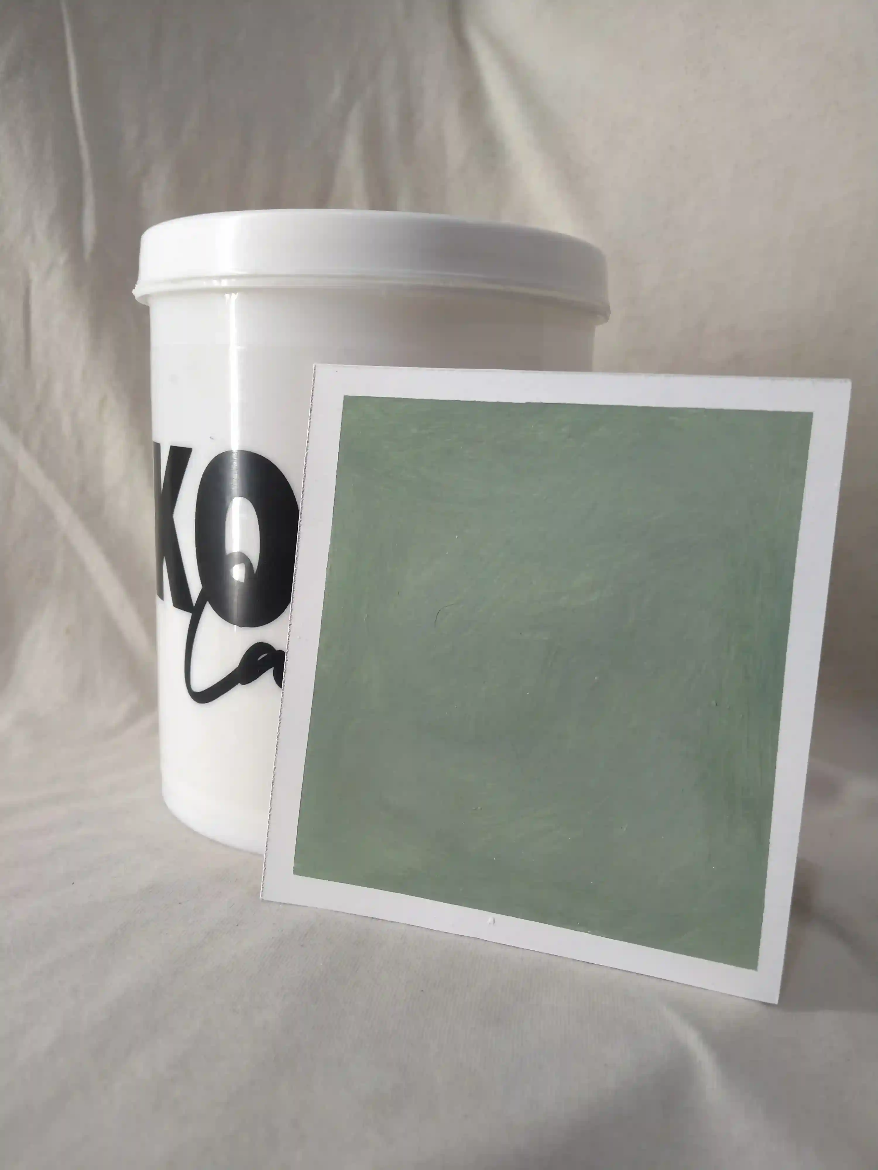 Forest Gem Lime Wash Texture Paint India - kolor canvas