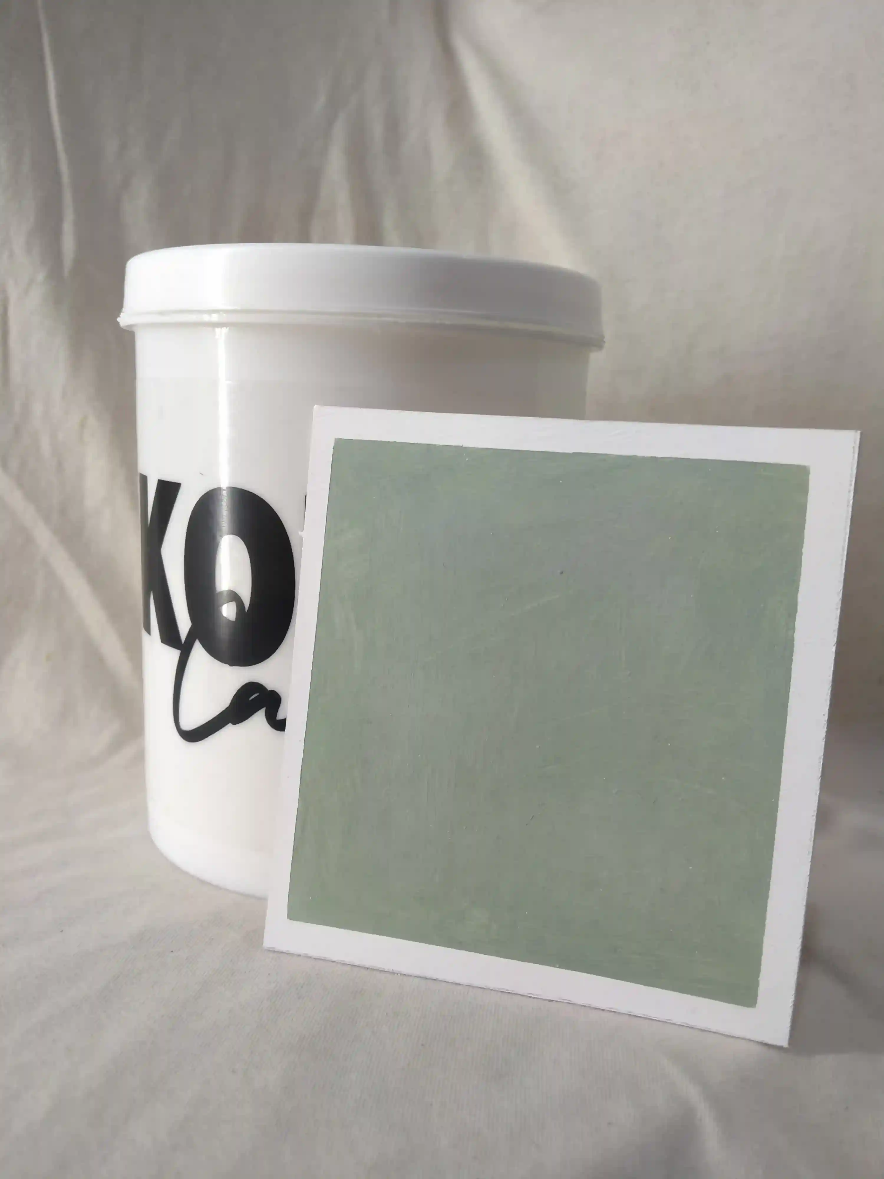 Ethereal Moss Lime Wash Texture Paint India - kolor canvas