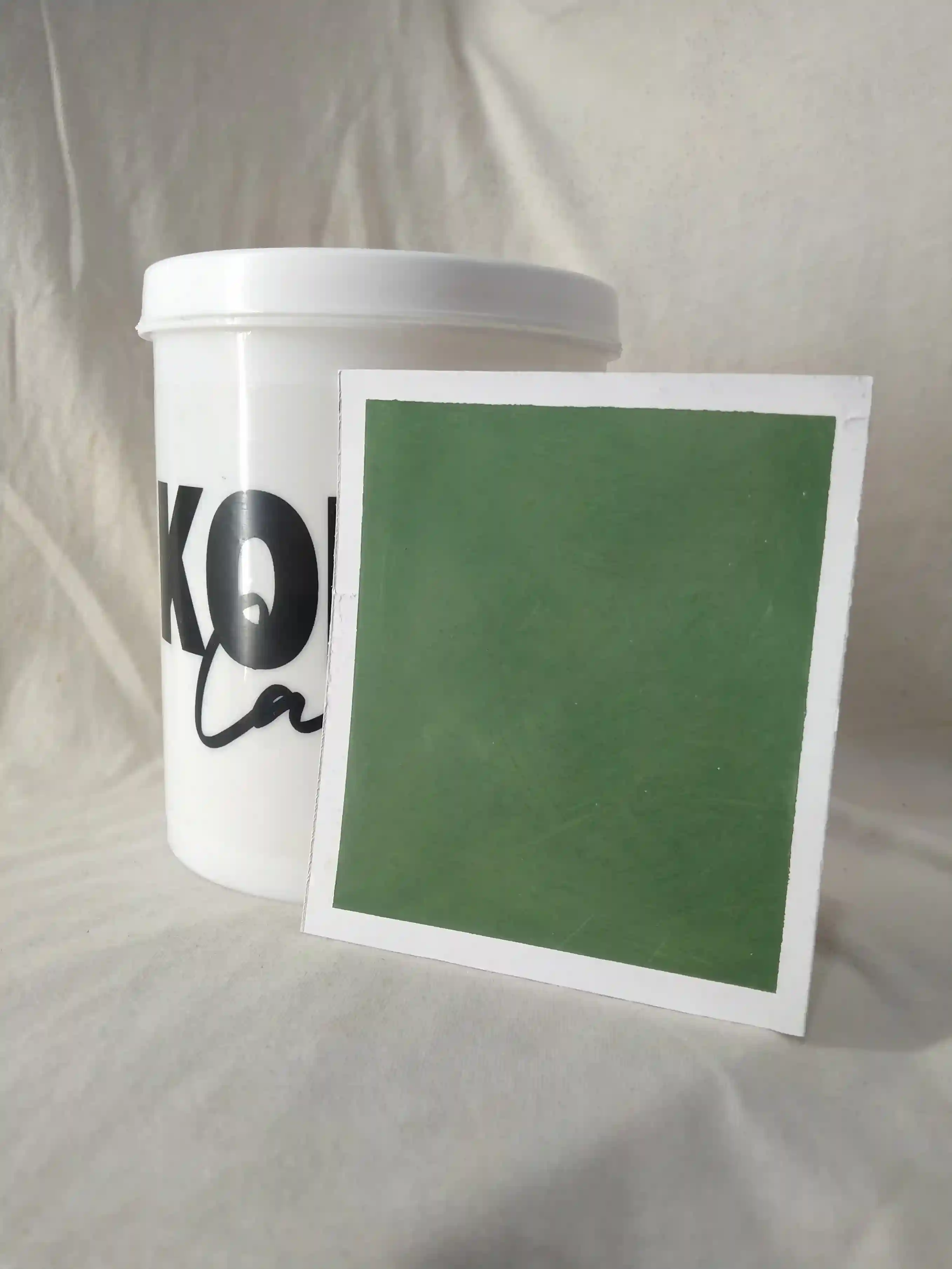Mossy Olive Lime Wash Texture Paint India - kolor canvas
