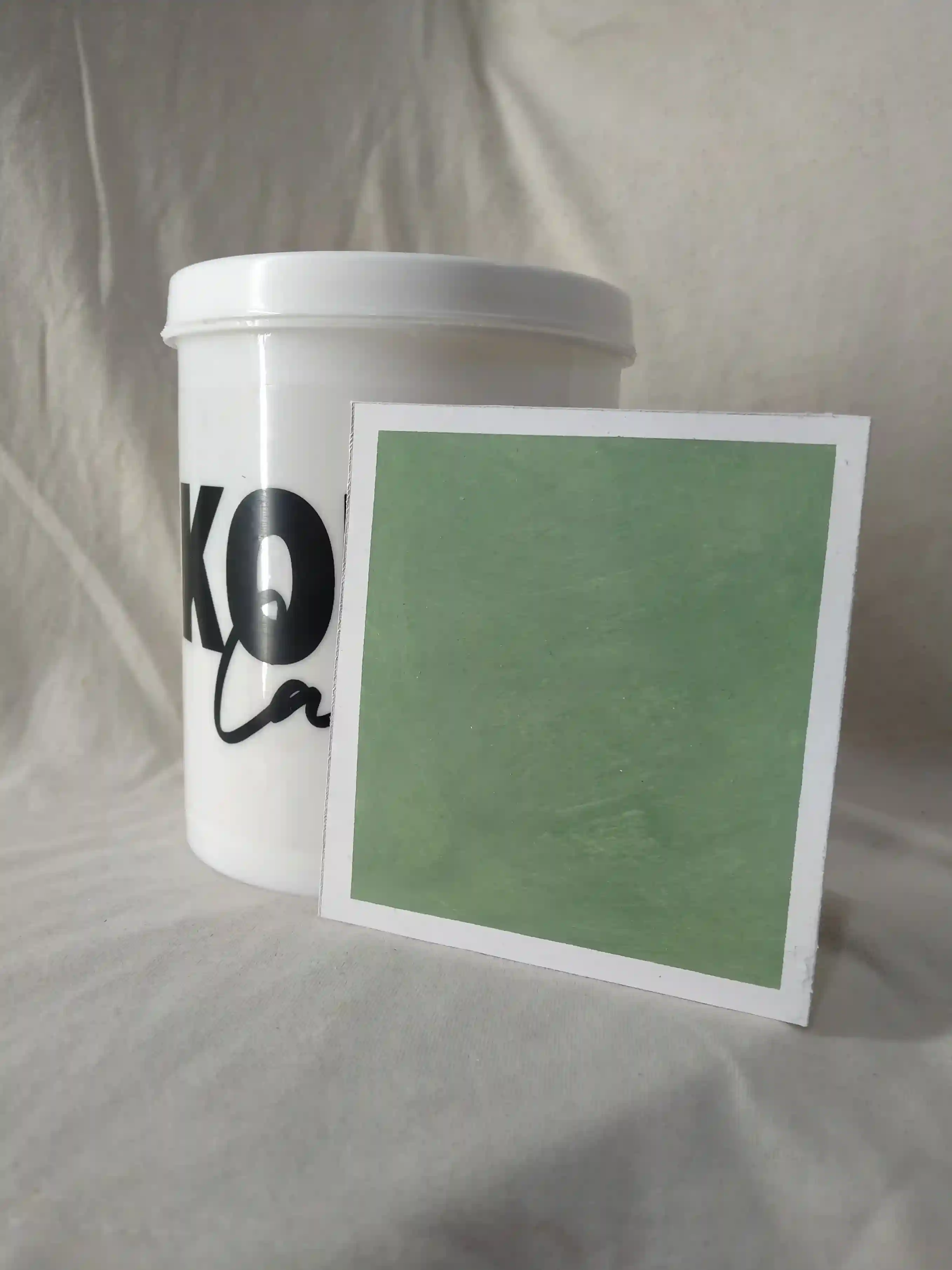 Olive Twilight Lime Wash Texture Paint India - kolor canvas