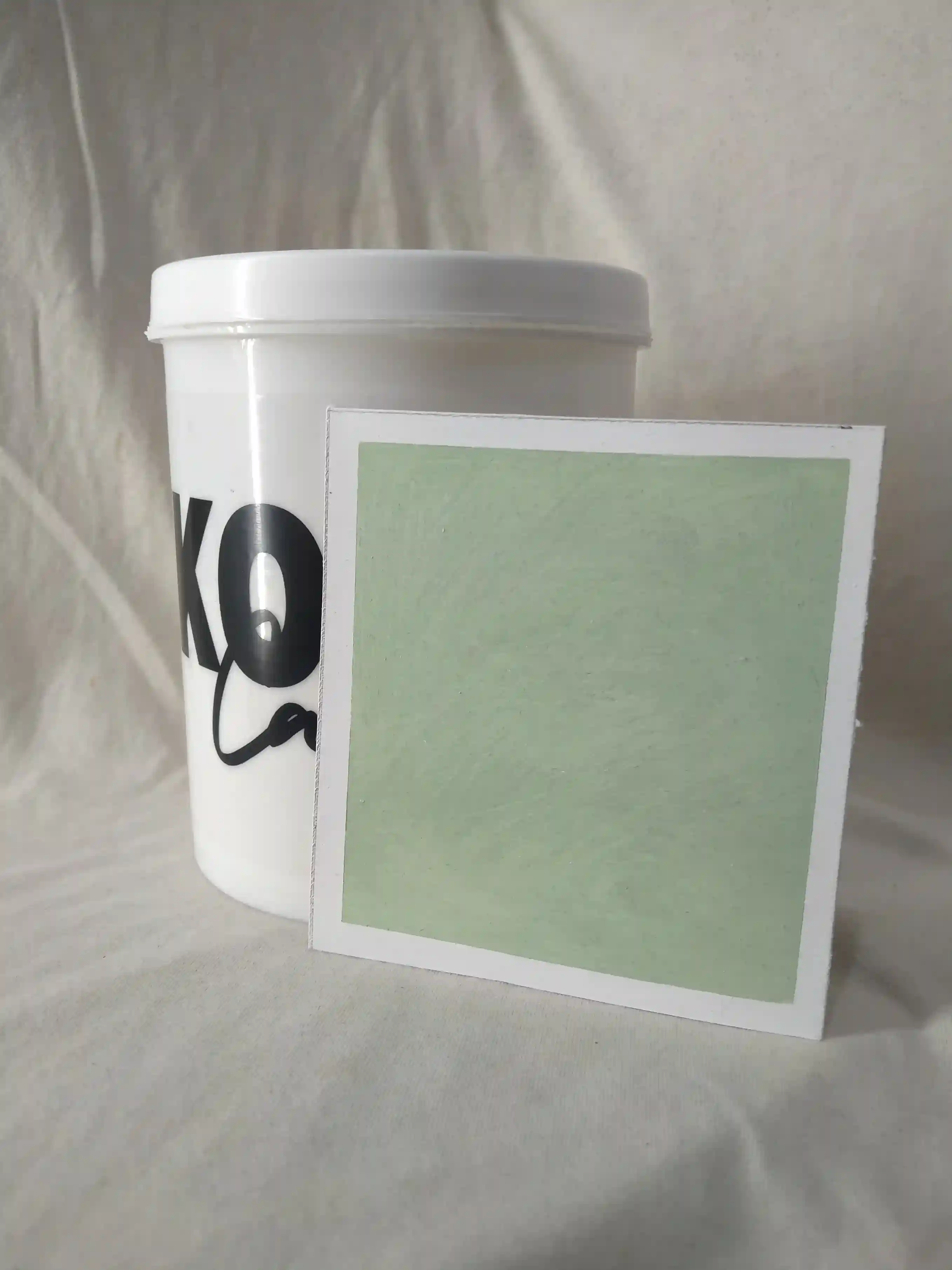Shaded Fern Lime Wash Texture Paint India - kolor canvas