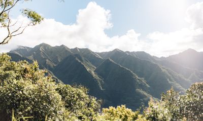 Reduced Rates PLUS Bonuses on Hawaii Hotels & Resorts!