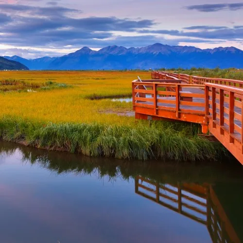 Grand Alaska Adventure with Alaska Railroad Southbound