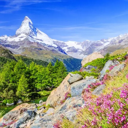 Zurich to Basel via the Bernina and Glacier Express Trains