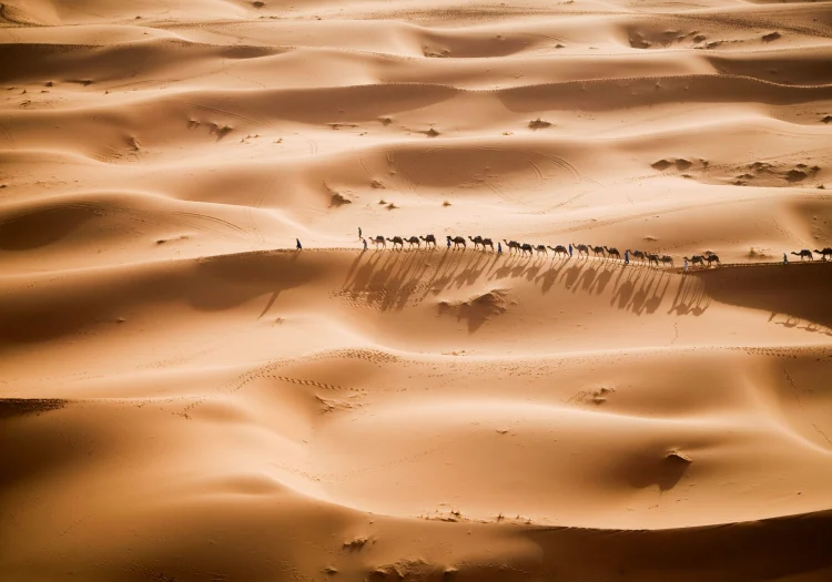 Morocco: Grand Tour & Kasbah Route