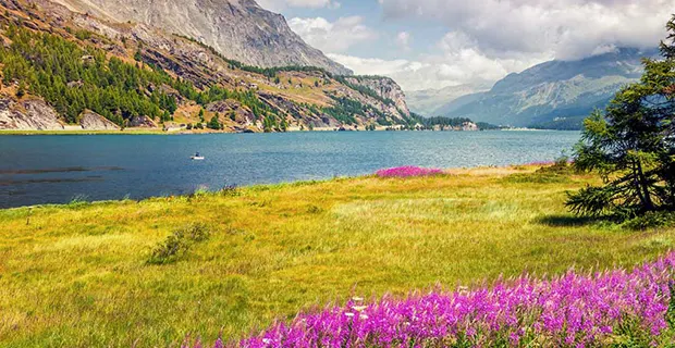 American Cruise Lines